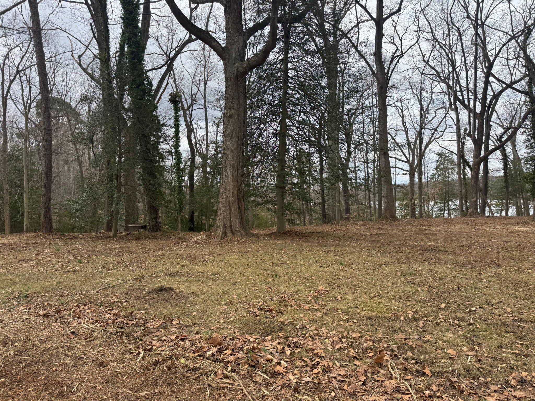 MARLBOROUGH POINT - Land