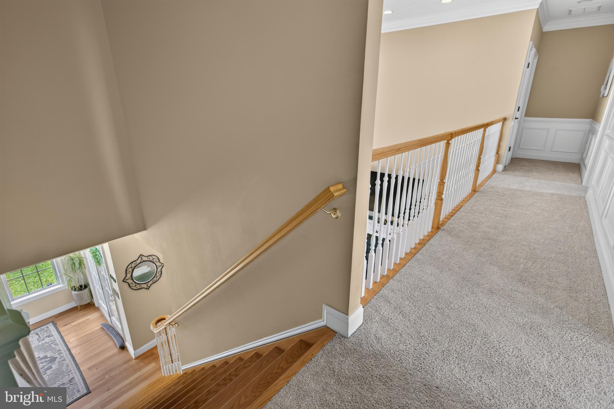 CHIMNEY HILL ESTATES - Residential