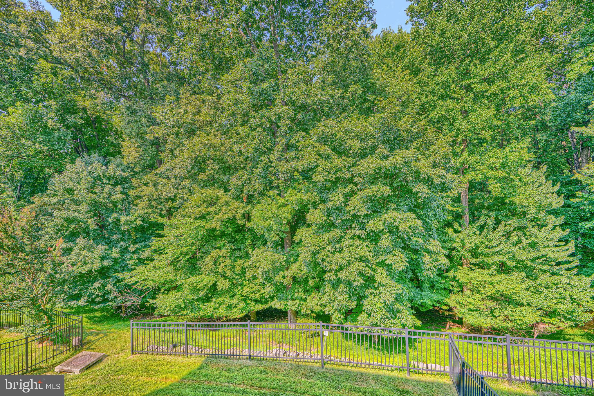 MEADOWVALE - Residential