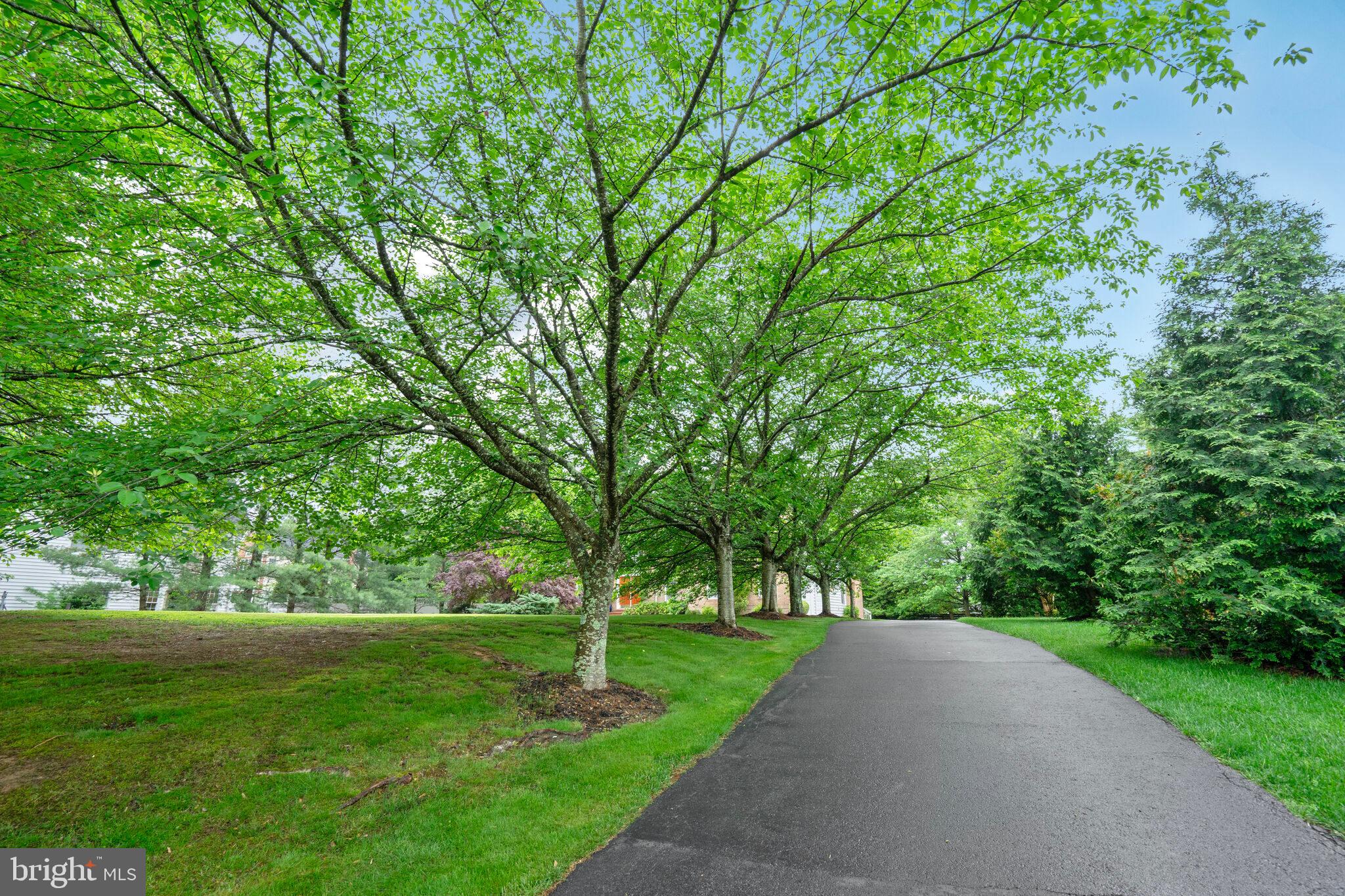 BELMONT PARK ESTATES - Residential