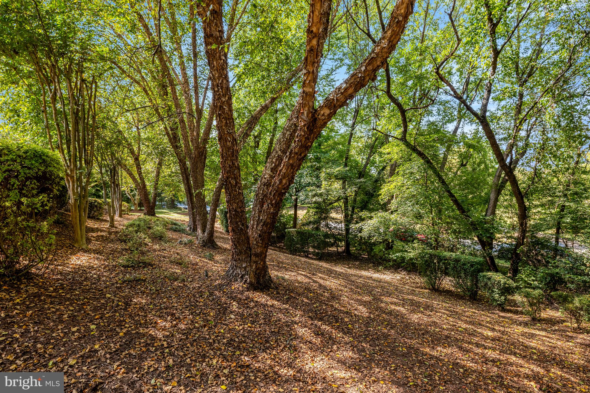 FALLSWOOD COURT - Residential