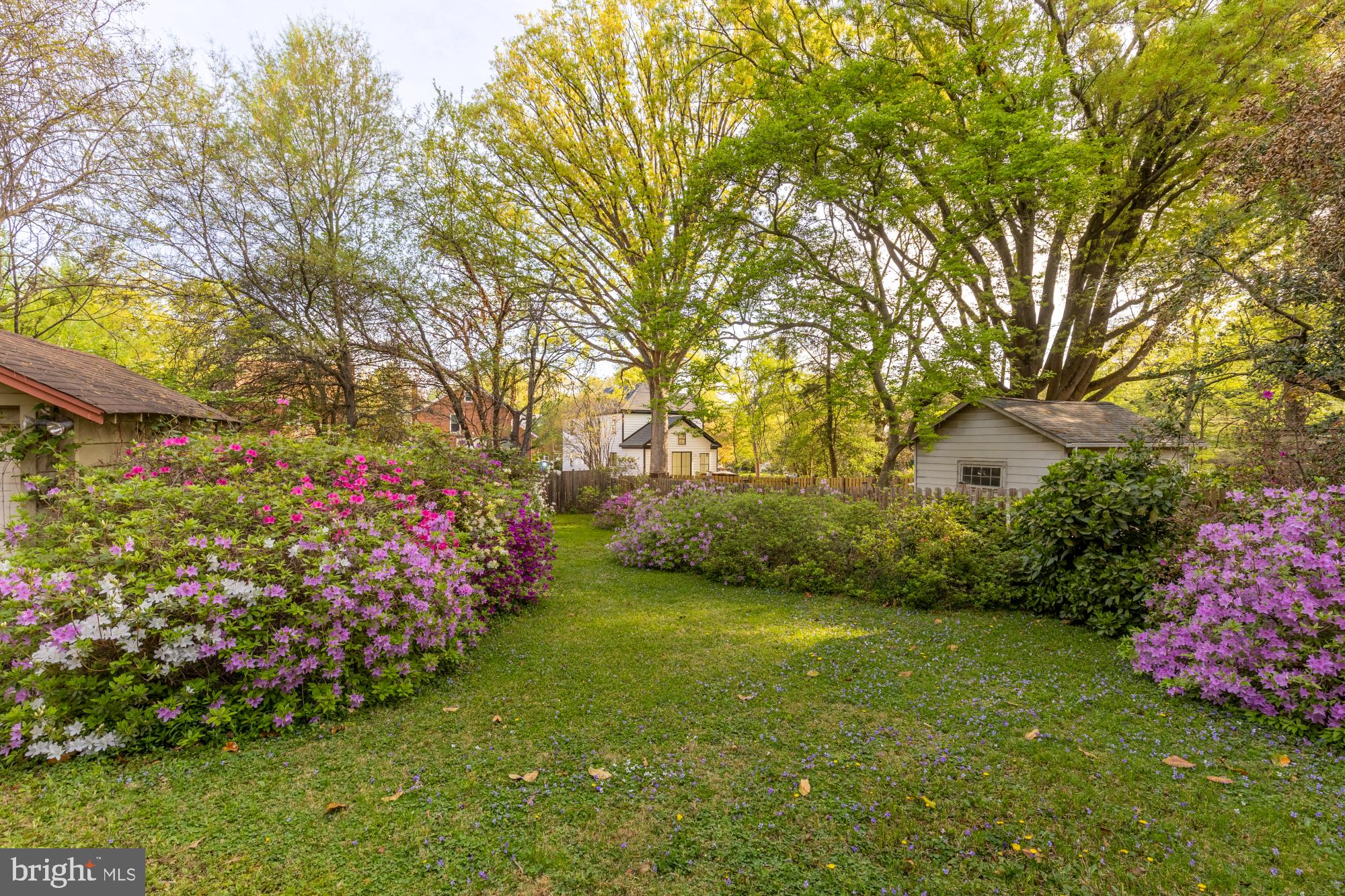 UNIVERSITY PARK - Residential