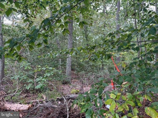 Raw land close to the Lake.  No perk.