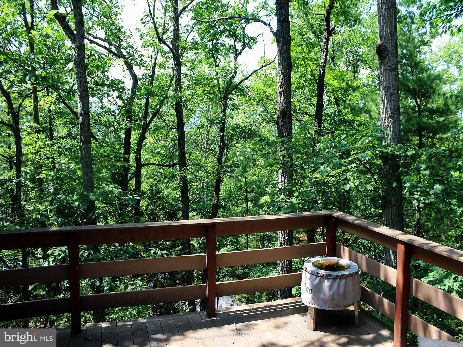 BRYCE  MOUNTAIN  RESORT - Residential