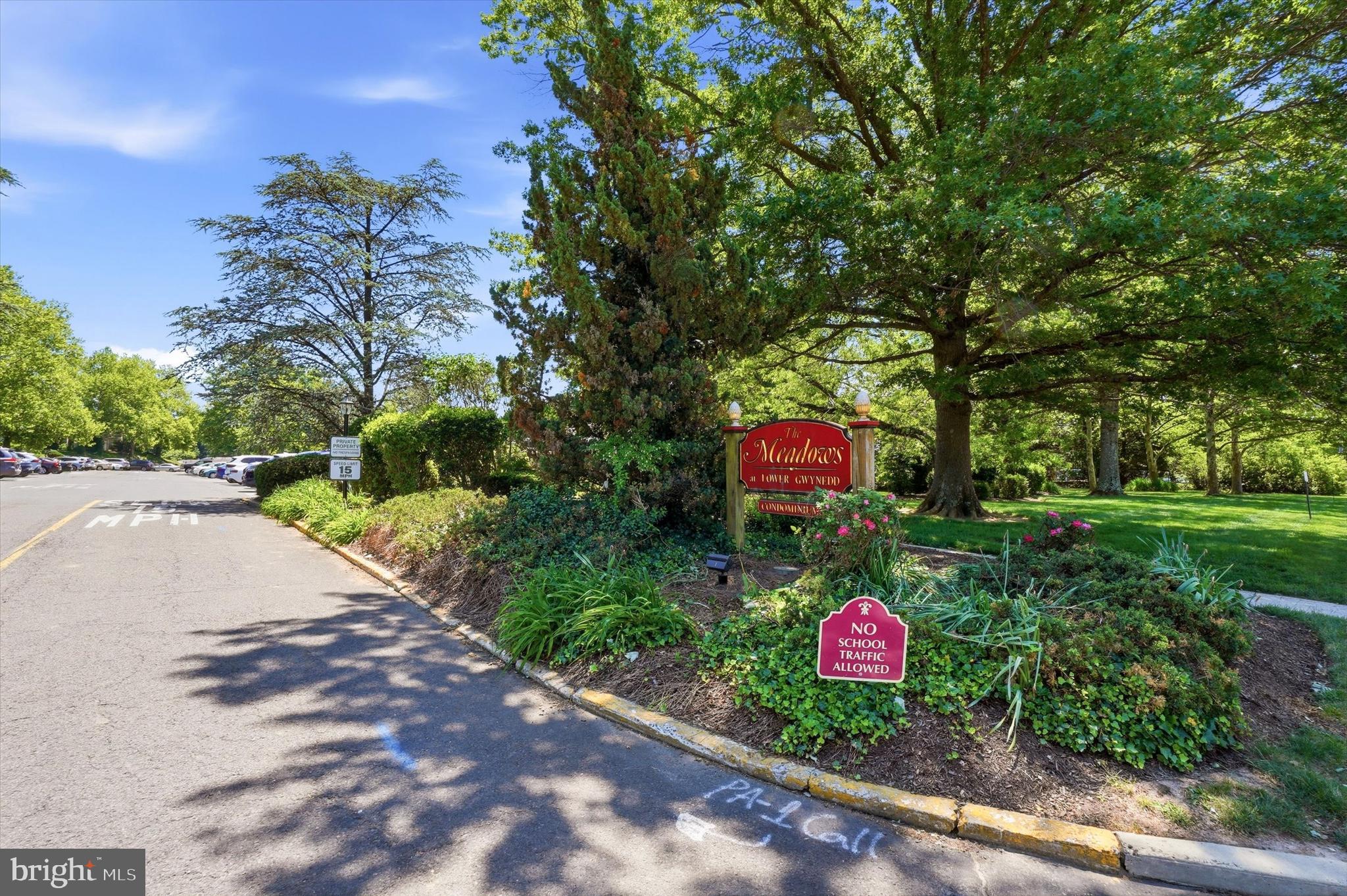 THE MEADOWS - Residential