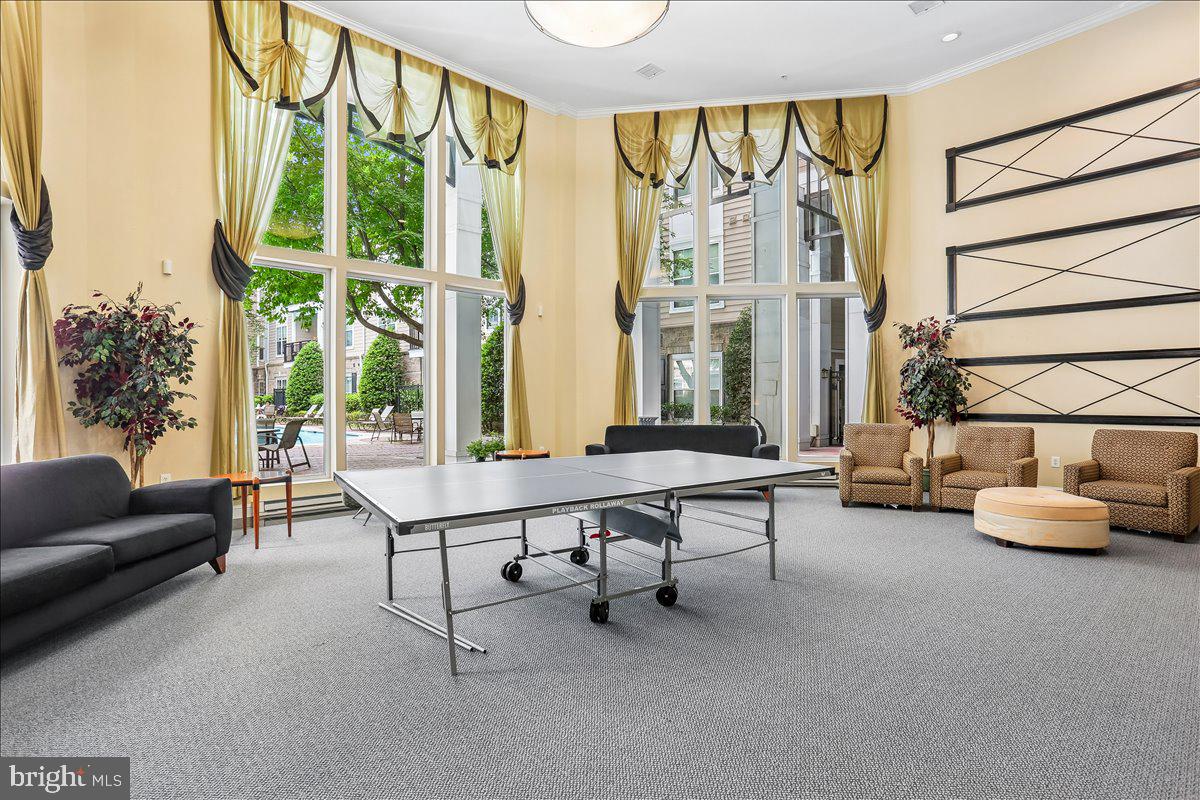 THE FITZ - Residential