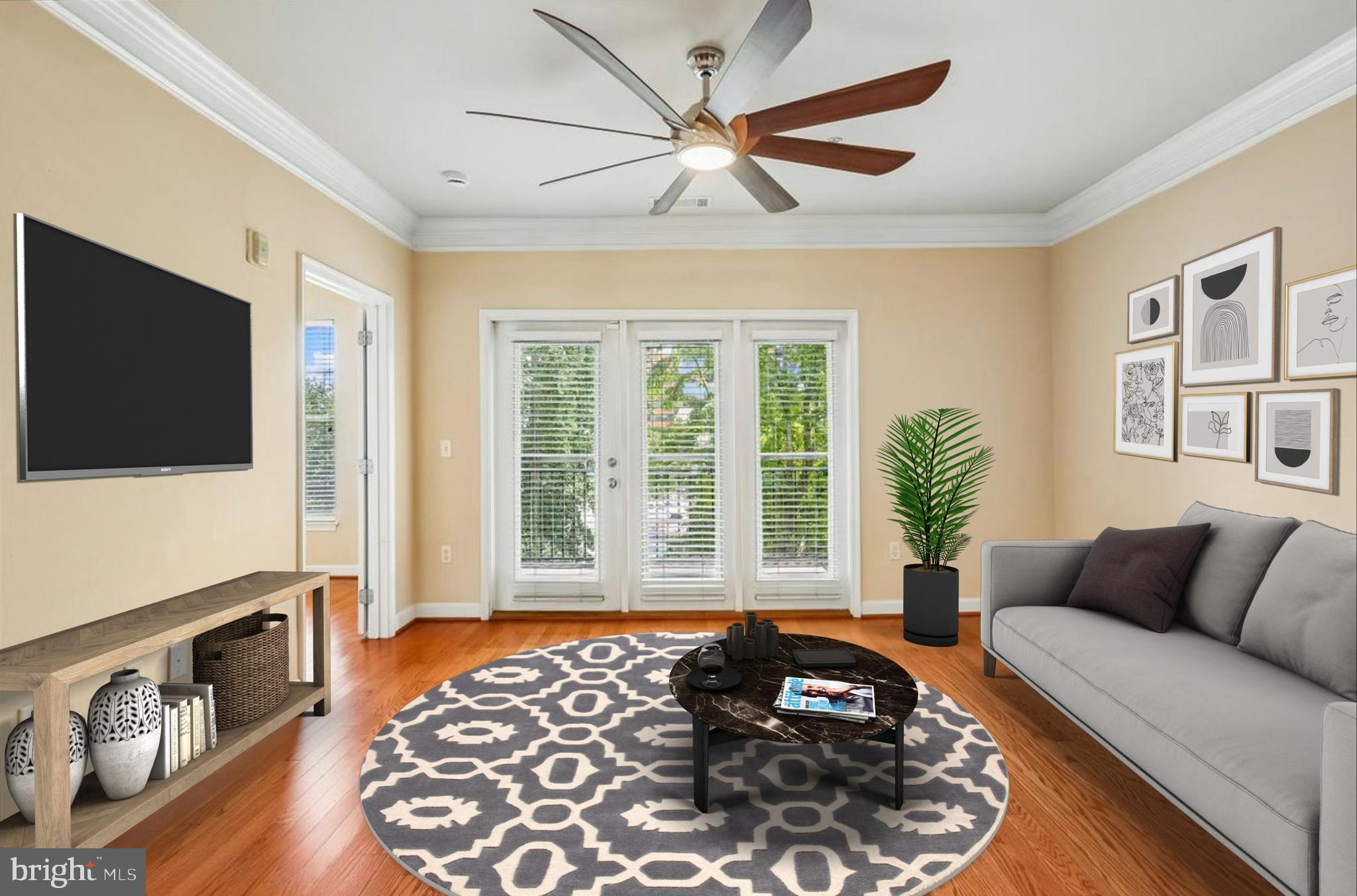 THE FITZ - Residential