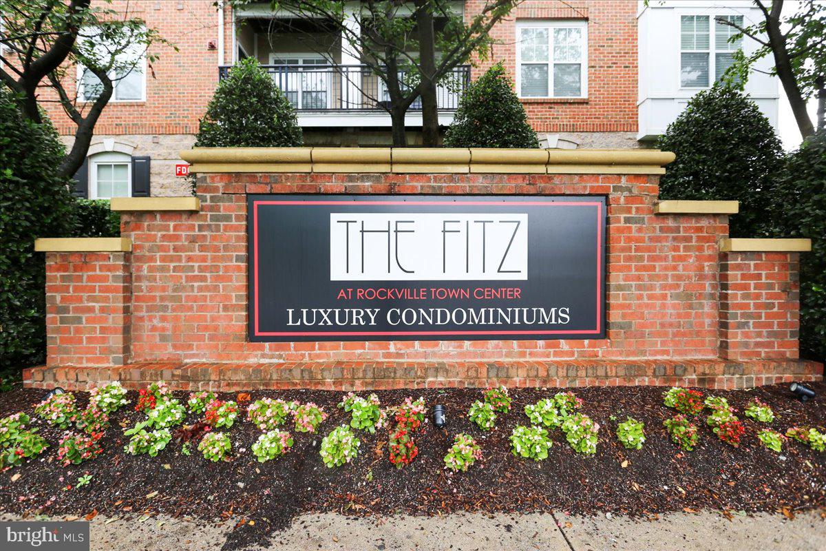 THE FITZ - Residential