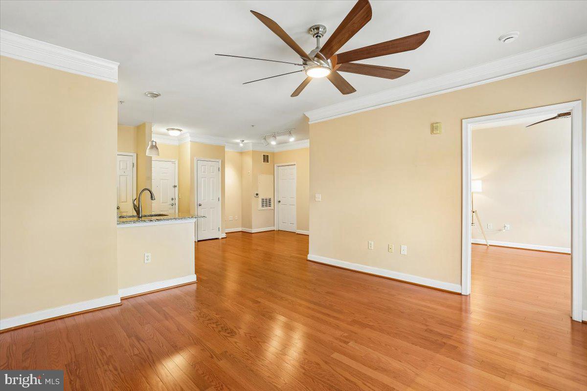 THE FITZ - Residential