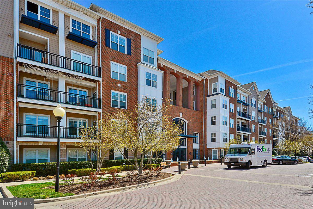 THE FITZ - Residential