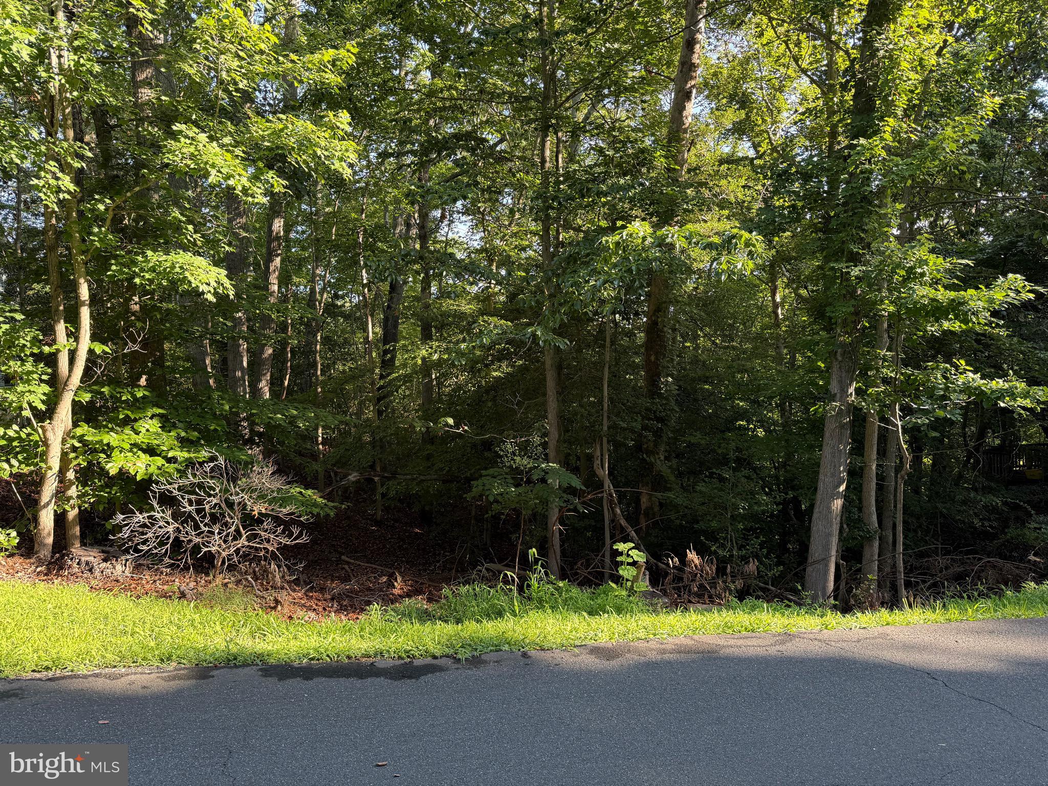 CHESAPEAKE RANCH ESTATES - Land