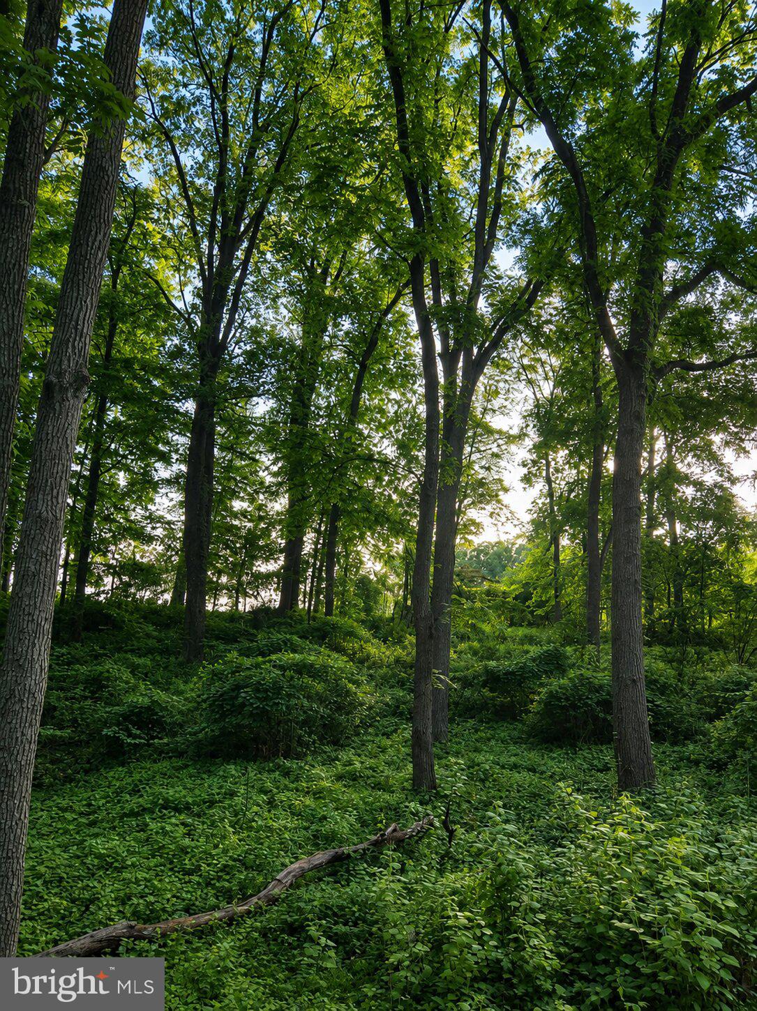 WOODBOURNE - Residential