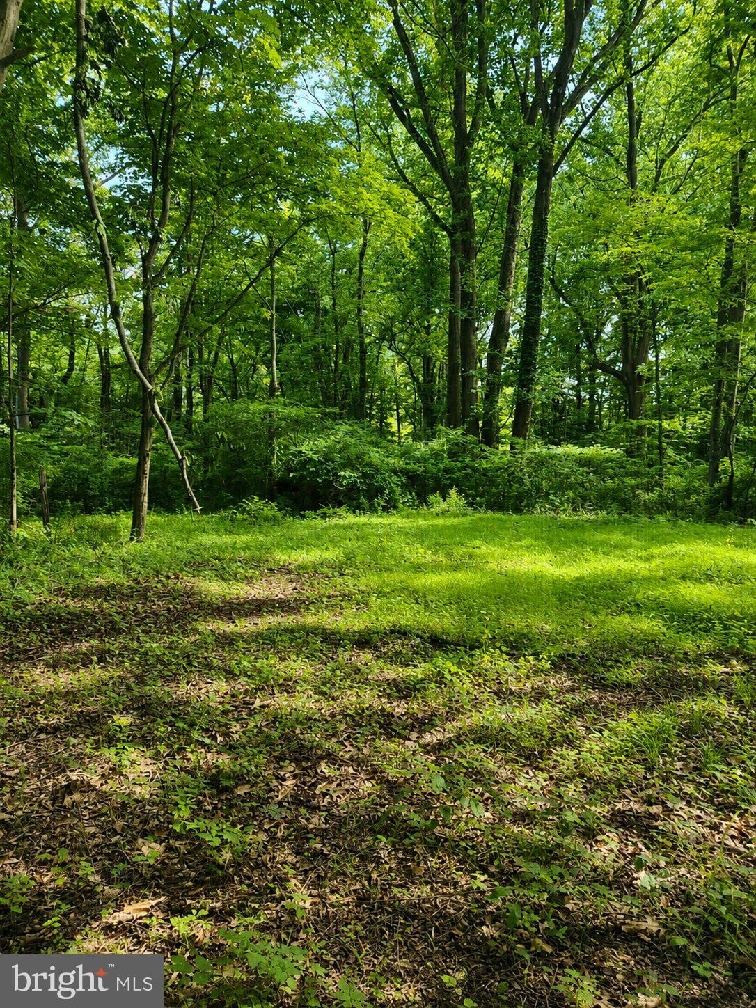 WOODBOURNE - Residential