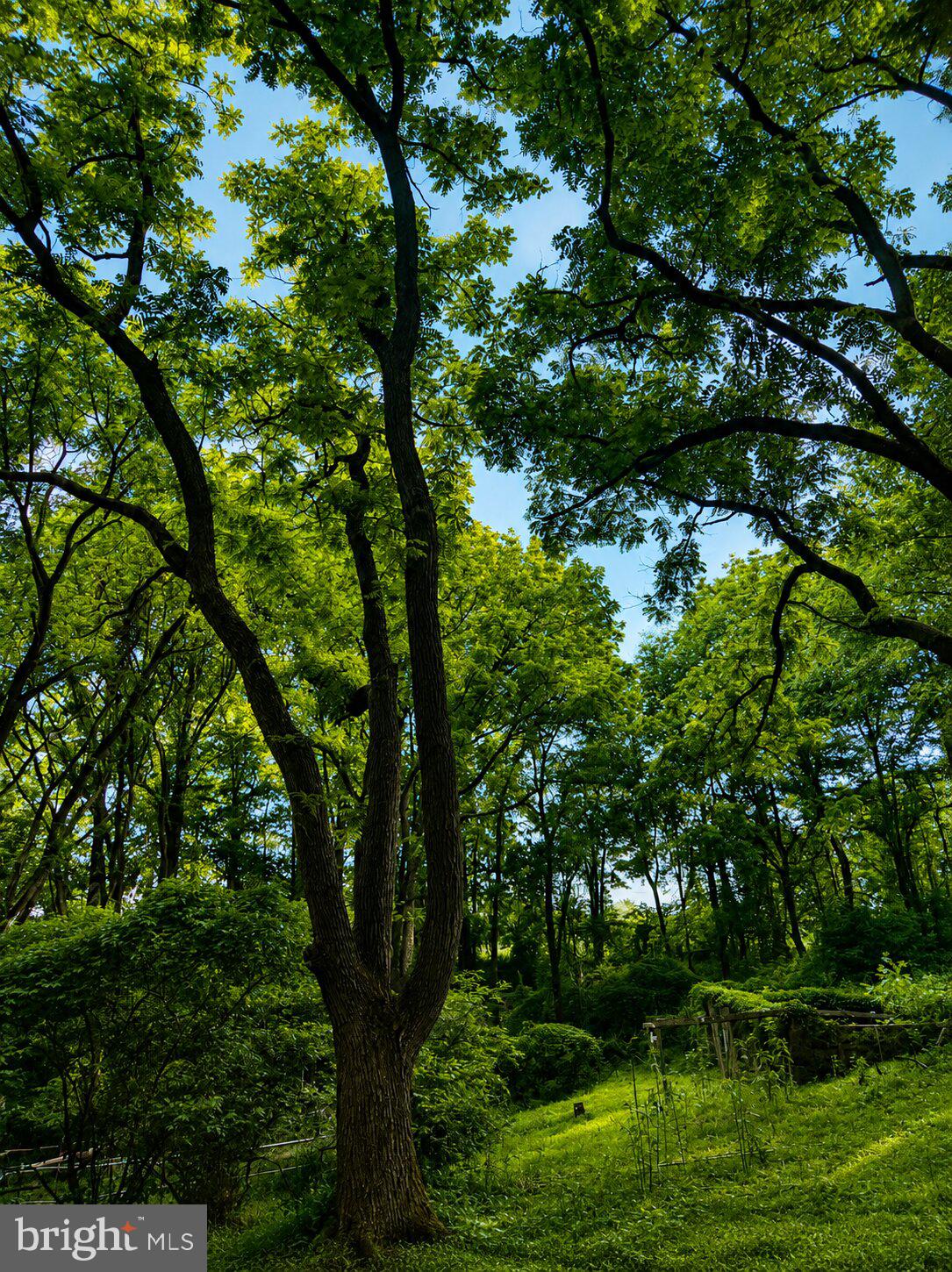 WOODBOURNE - Residential