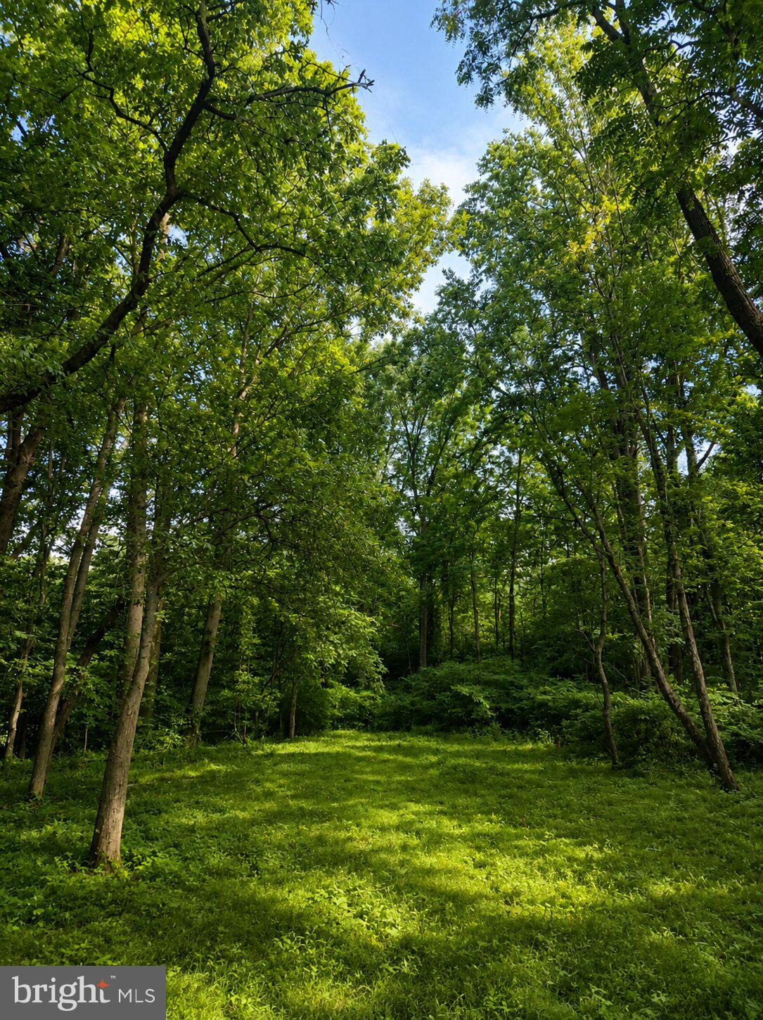 WOODBOURNE - Residential