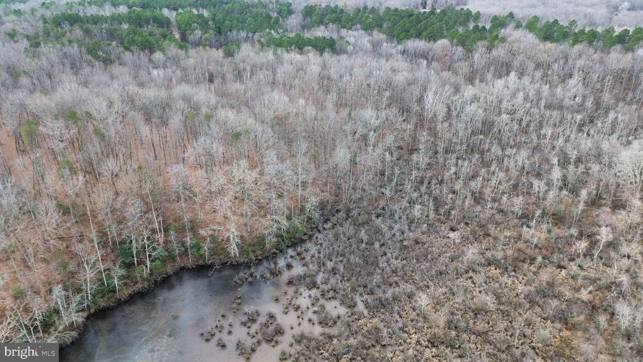 JENNINGS POND - Land
