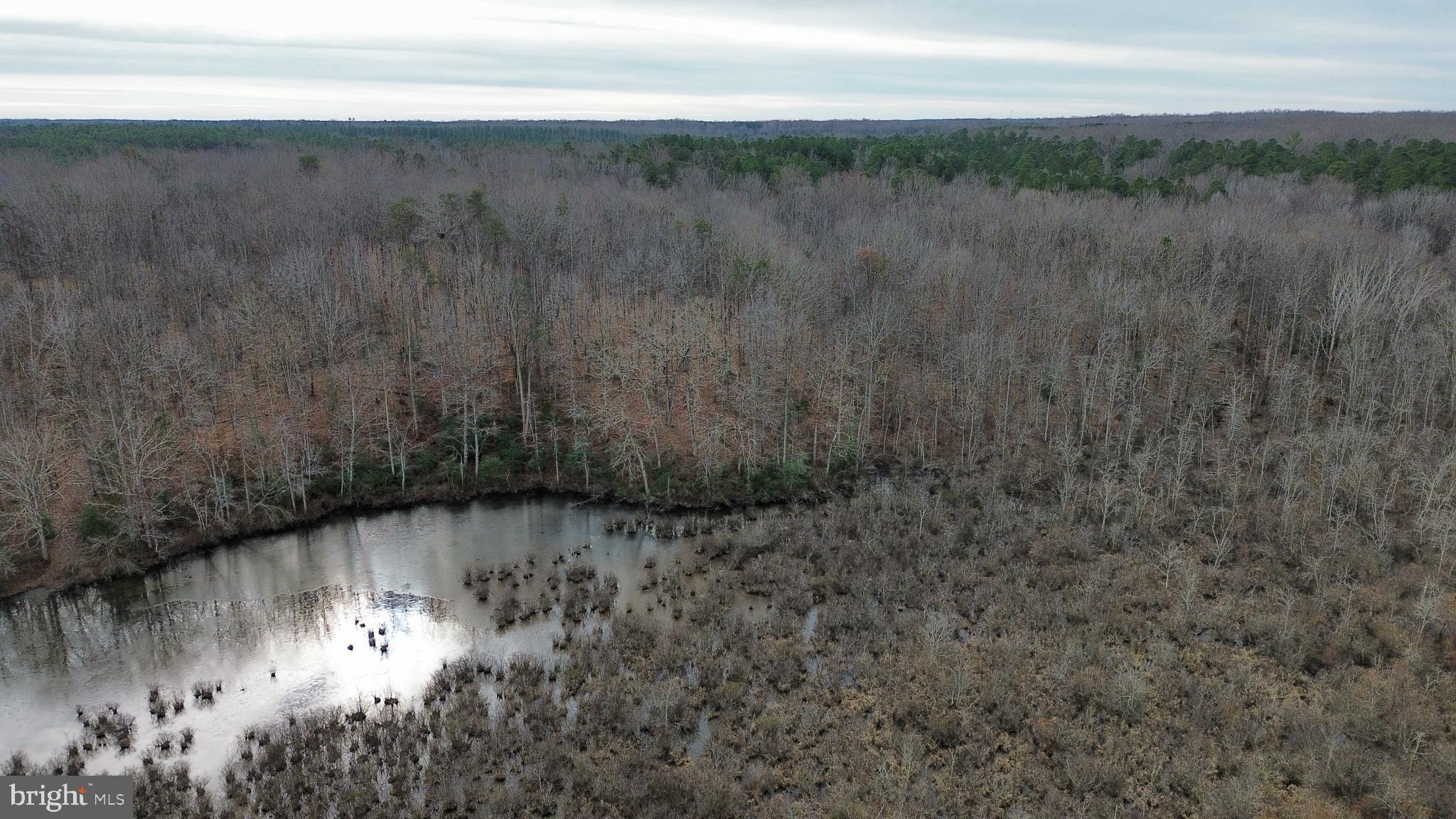 JENNINGS POND - Land