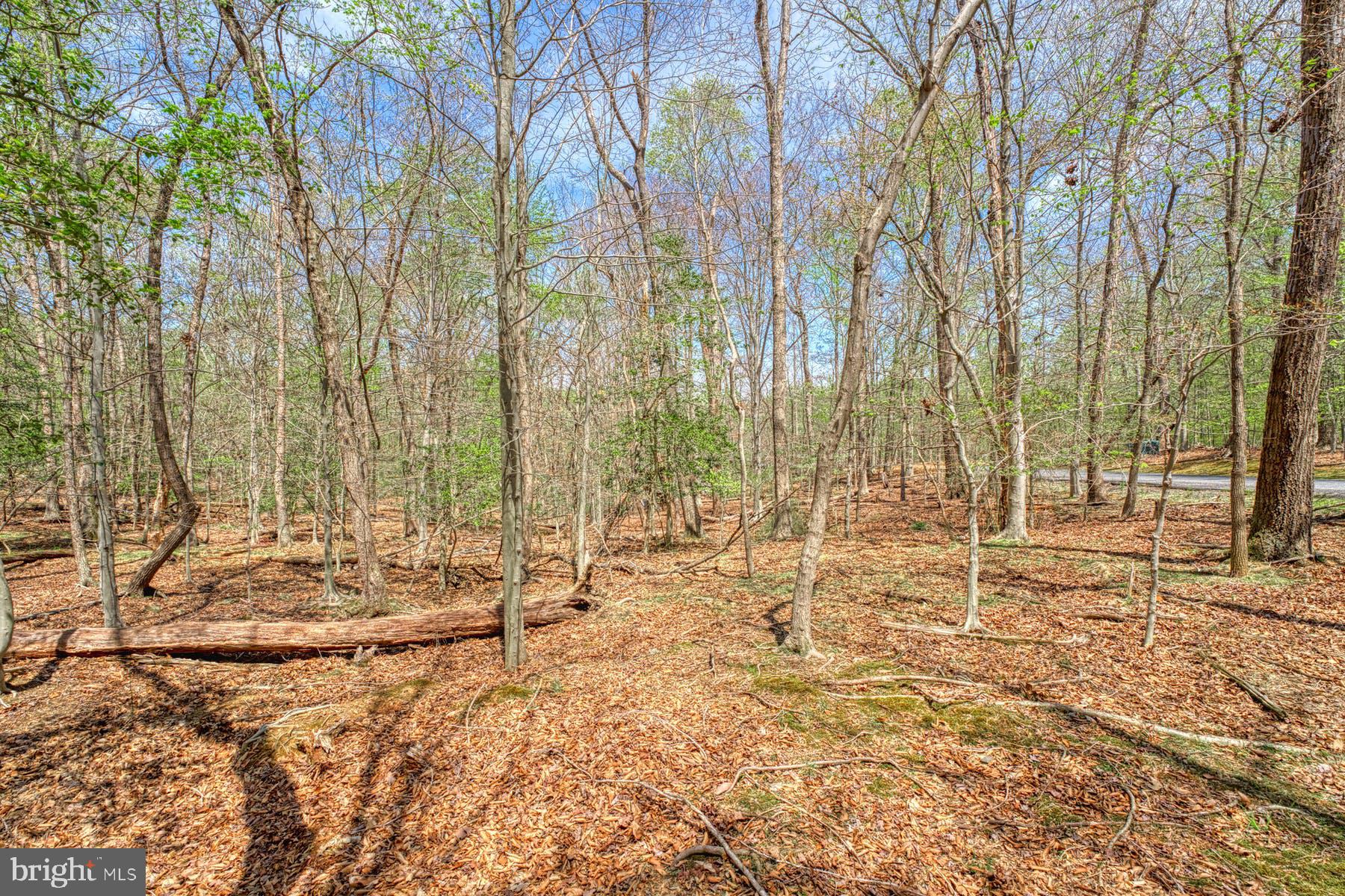 CARRWOOD ESTATES - Land