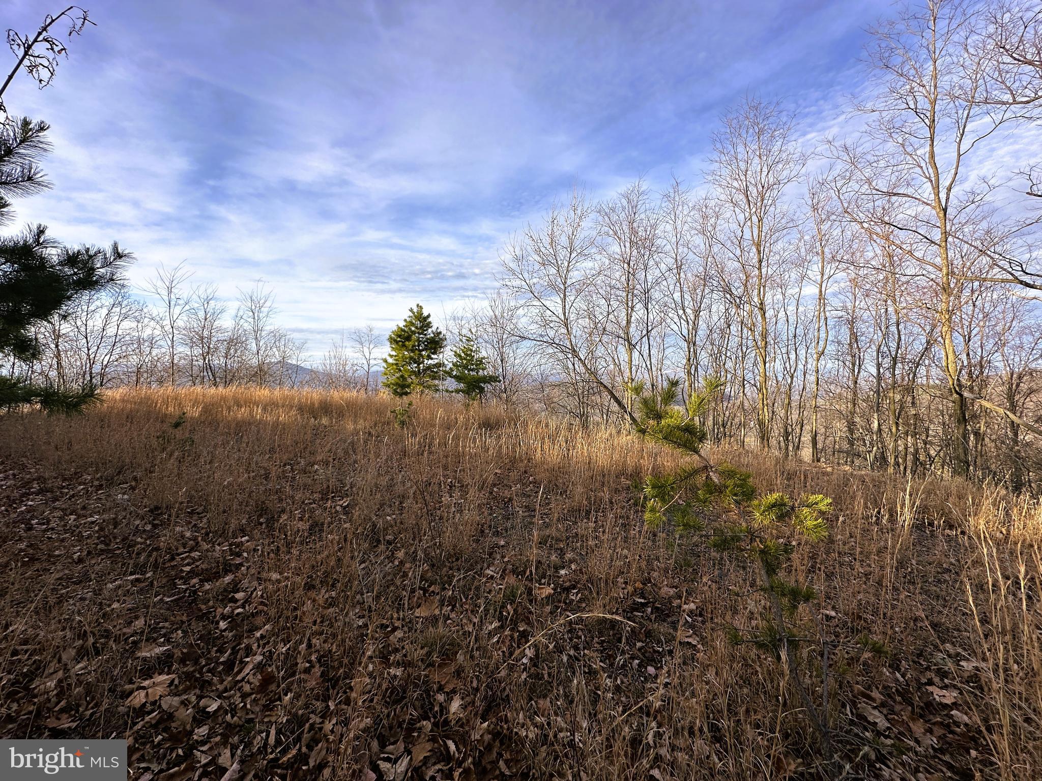 SNEAKY GOOD DEAL.....20 ACRES ELEVATED AT 2500 FT WITH NEAR 180 DEGREE MOUNTAIN VIEWS AND 35K WORTH OF INFRASTRUCTURE ALREADY IN PLACE! 35 GALLON PER MINUTE WELL, 3 BEDROOM SEPTIC, 300 FT DRIVEWAY AND CLEARED BUILD/CAMP SITE ALREADY INSTALLED. ALL THAT'S LEFT IS TO RUN ELECTRIC TO THE SITE, WHICH SHOULD BE APPROX 5K AND YOU'RE FULLY FUNCTIONAL FOR AN RV OR READY TO BUILD. THE TERRAIN IS RUGGED BUT IF YOU RECLAIM THE OLD LOGGING ROADS ON THE PROPERTY, IT'S ALL ACCESSIBLE ON AN ATV. WHY SO CHEAP WHEN FULLY FUNCTIONAL 20 AC LOTS TYPICALLY RUN 150-200K? A HIGH TENSION POWERLINE RUNS THROUGH THE PROPERTY, HOWEVER THE BUILD SITE IS 200 FT ABOVE THE POWERLINE, YOU CAN SEE THE WIRES FROM THE BUILD SITE BUT YOU'RE LOOKING OVER TOP OF THEM. USE THE POWERLINE TO YOUR ADVANTAGE, THEY'RE GREAT FOR ATV'S, HUNTING AND LONG RANGE SHOOTING. BIG BUCKS & BEAR ROAM THIS LAND! LOCATED IN THE PRESTIGIOUS 10,000 ACRE GATED COMMUNITY ASHTON WOODS, A ONE OF A KIND PLACE, WHERE YOU CAN ESCAPE THE WORK & WORRY OF THE BIG CITY AND TICKLE ALL YOUR OUTDOOR FANCIES....15 MINUTES OFF 4 LANE SUPER HIGHWAY, 15 MINUTES FROM MULTIPLE PUBLIC ACCESS POINTS ON THE SOUTH BRANCH OF THE POTOMAC RIVER, 15 MINUTES FROM MOOREFIELD, 45 MINUTES FROM SKI RESORTS, 5 MINUTES FROM PRIVATE COMMUNITY ACCESS TO NATHANIEL MOUNTAIN WILDLIFE MANAGEMENT AREA 10,000 ACRES OF PUBLIC HUNTING & HIKING.....IF YOU LIKE THE OUTDOORS, YOU'LL NEVER RUN OUT OF THINGS TO DO.....WHO KNEW? ALL OF THIS WITHIN 2 HOURS OF DC.....BELIEVE IT! HERE'S THE MATH; IT'S GETTING NEXT TO IMPOSSIBLE TO BUY A LOT IN ASHTON WOODS FOR LESS THAN 100K, IF YOU KNOCK 35K OFF THE PRICE FOR THE INFRASTRUCTURE THAT'S ALREADY IN PLACE, IT BRINGS THE LAND PRICE DOWN TO 85K. IF THE POWERLINE DOESN'T BOTHER YOU, YOU'RE GETTING A HECK OF A DEAL.....IF THE POWERLINE BOTHERS YOU, SET THIS ONE OUT. CHECK OUT THE PICTURES FROM 2005 WHEN THE WORK WAS INITIALLY DONE, SO YOU CAN GET AN IDEA OF WHAT THE VIEW COULD BE.