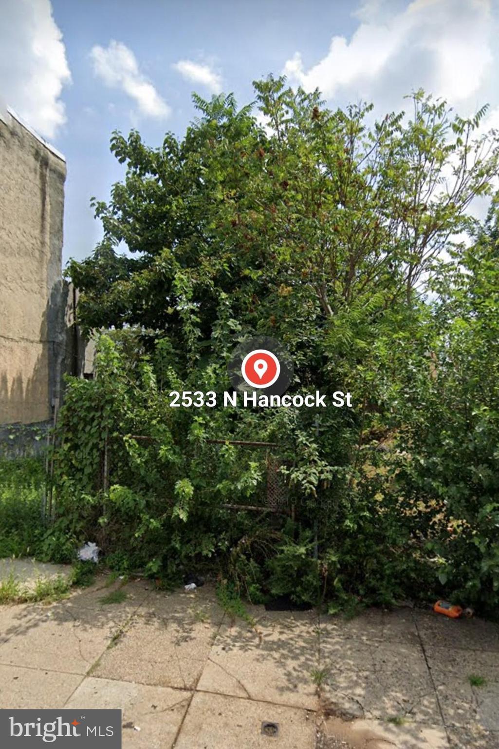 Main image without alt text