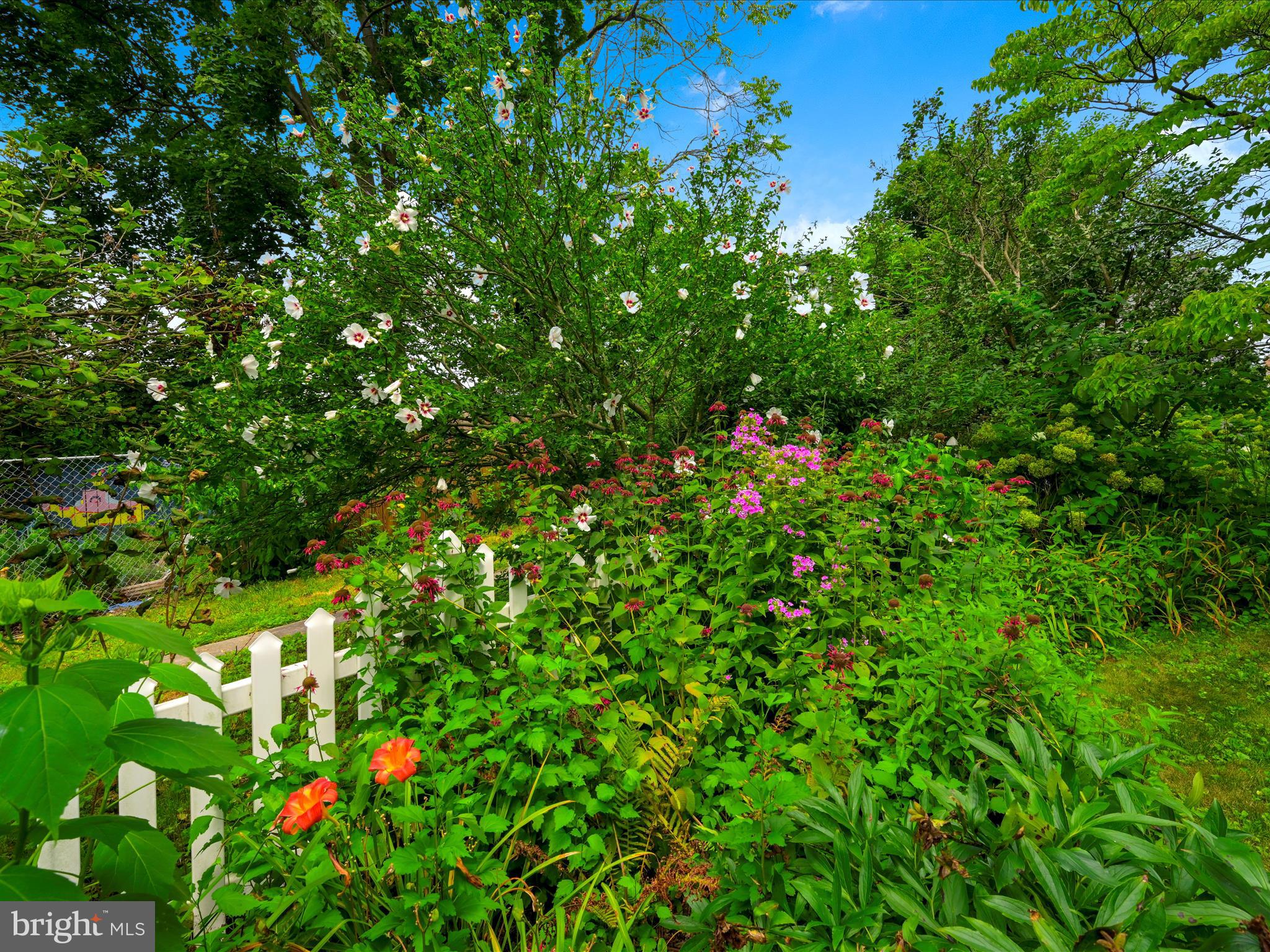 SCHUYLKILL HAVEN - Residential
