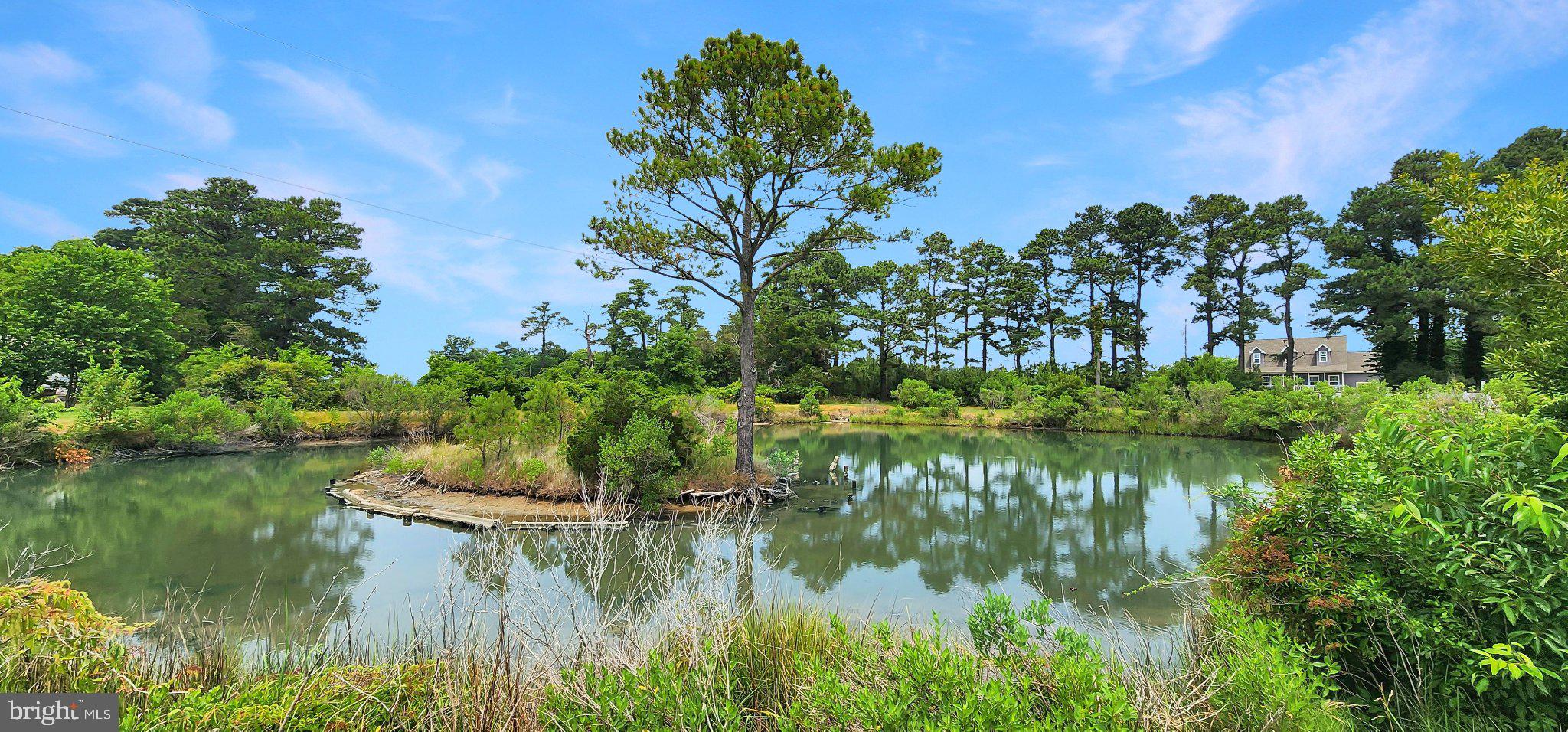 CAPE CHARLES - Residential