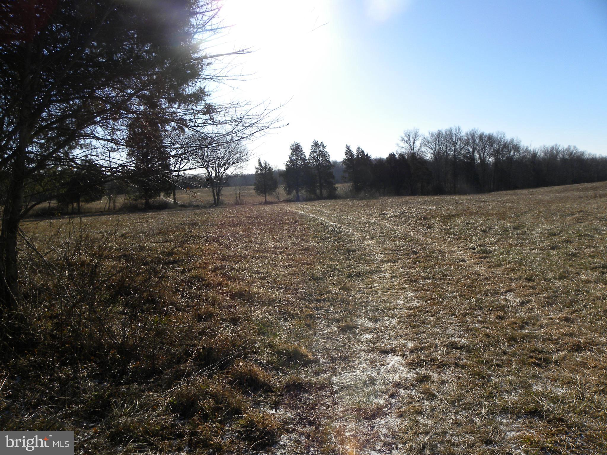 176+ acres in Rural Cresent area of northern Prince William. Backs up to Regional park and Softball fields in Catharpin. Development potential for 10 acre lots. Beautiful rolling topography. Former farm land. Includes Tax ID 7400 80 7882 and 7400 71 3987. Purchaser is responsible for any rollback taxes. Potential entrance is directly across from Green Gables subdivision.