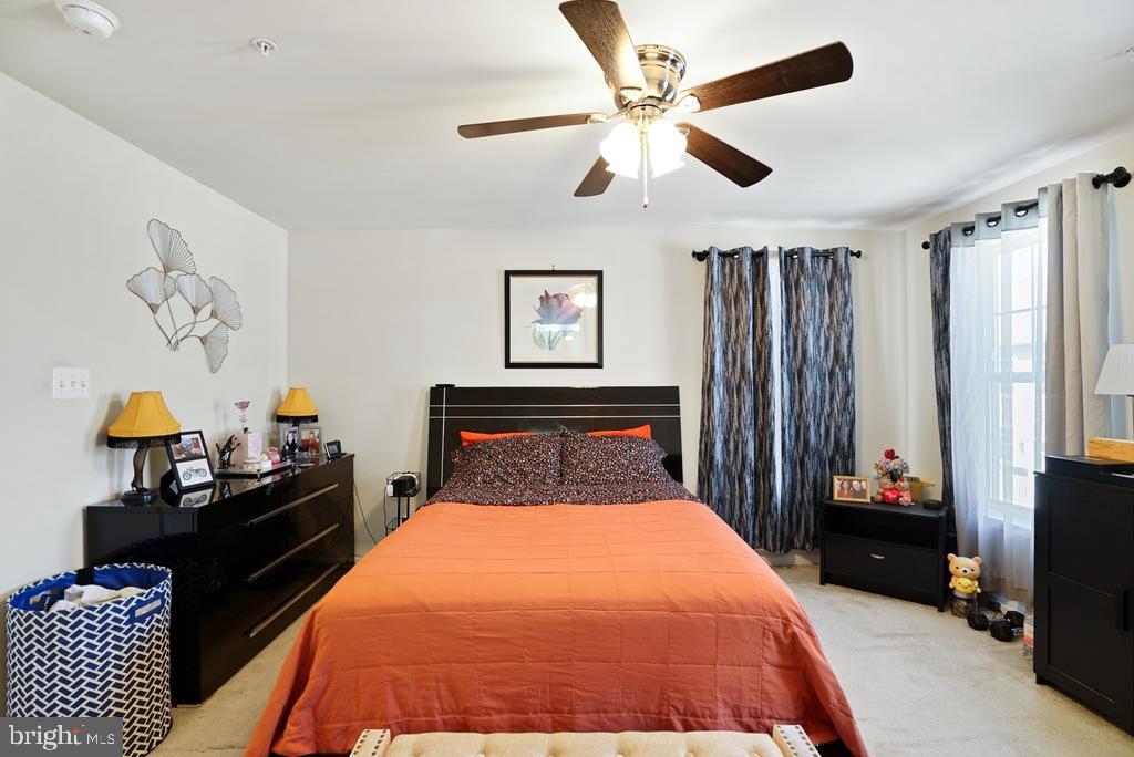 SCOTLAND HEIGHTS - Residential
