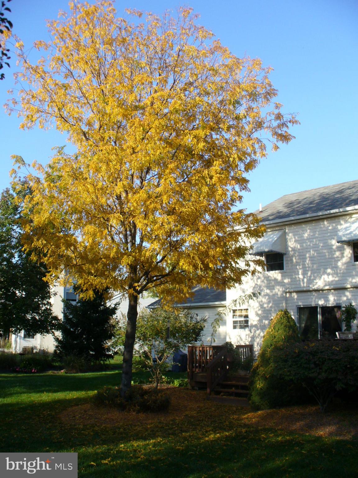 GREENTREES - Residential