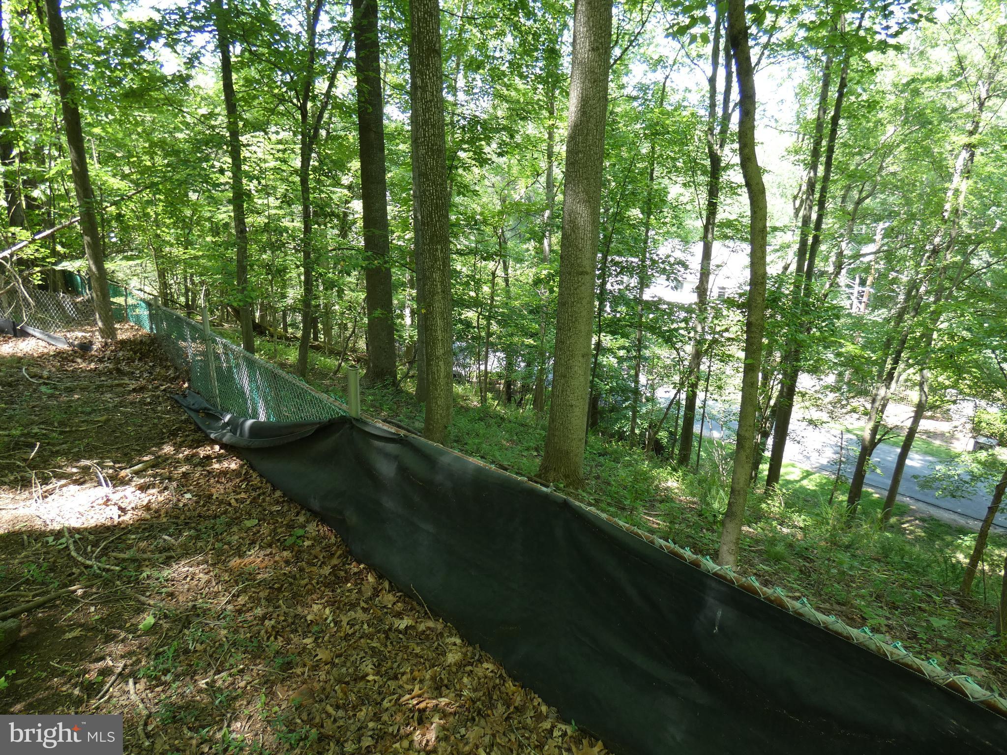POTOMAC OUTSIDE - Land