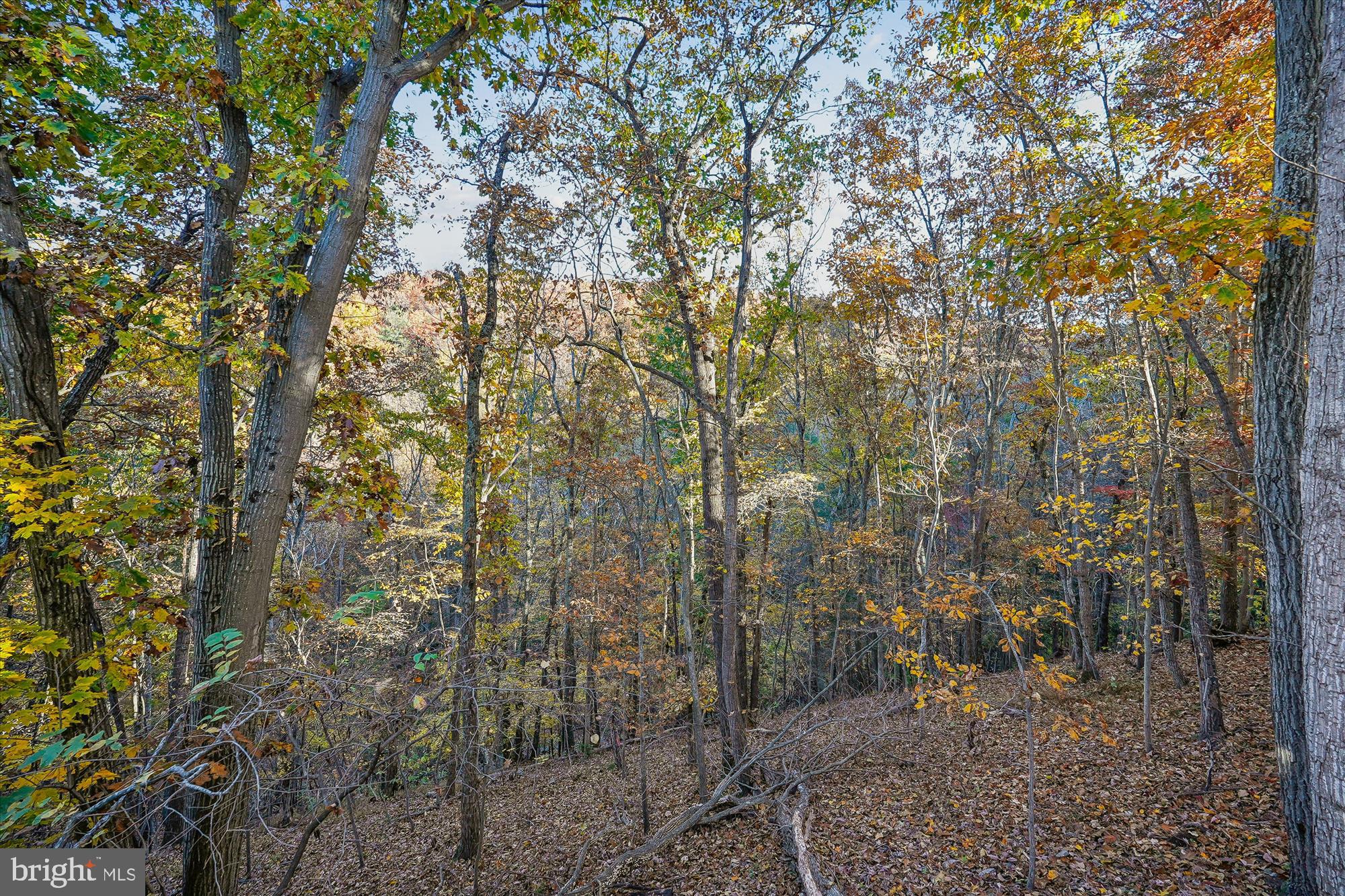 SHENANDOAH RETREAT - Residential