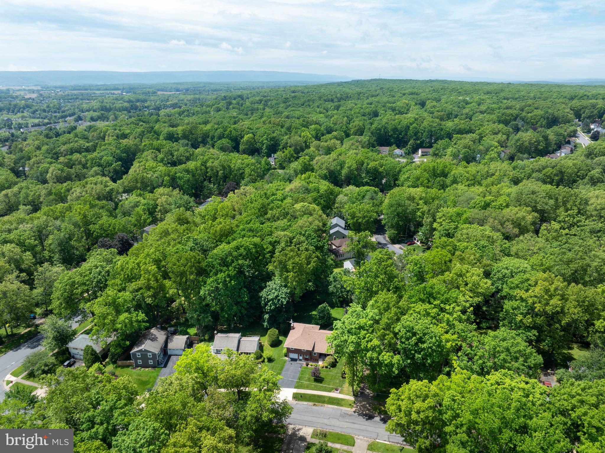 PARK FOREST VILLAGE - Residential