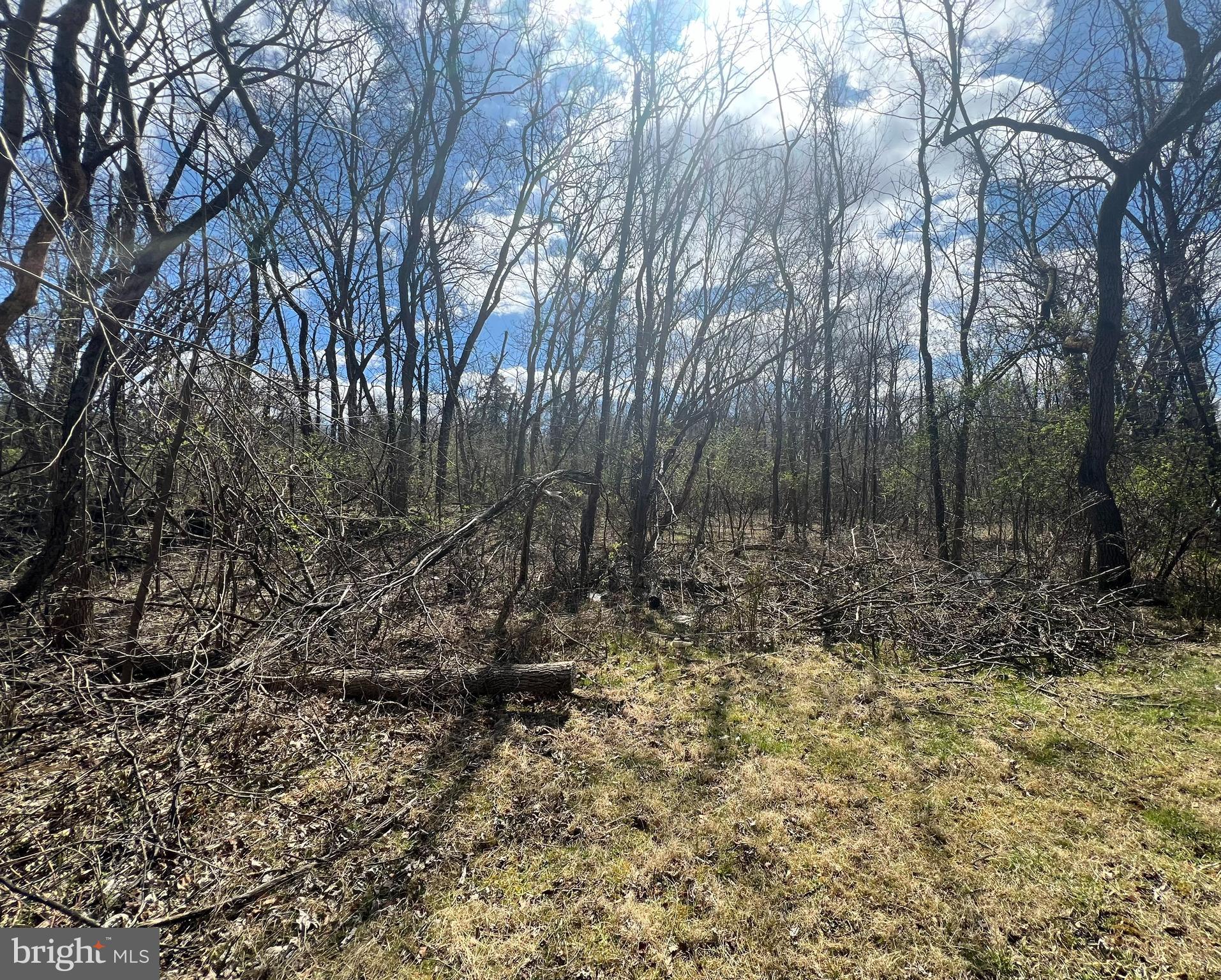 Two lots located in a quaint community along the Potomac River totaling 2.11 acres being sold together. The community is only minutes from 2 Marc train stations.  Nestled between Shepherdstown and  Harpers Ferry, making it close to shops, restaurants, the C & O Canal and much more. 
The lots are not in a high risk flood area and are located on a dead end street.  
It is up to the buyer to do their due diligence when it pertains to the covenants, the local Health Department and the county. The neighborhood has a community area & river access for its residents to launch a boat or jet ski, go canoeing/kayaking, stand up paddle boarding, swimming, tubing and fishing.   .
Neighboring lot owners have first right of refusal to purchase these lots per covenants.  30 days notice must be given.
Presently all of the owner's lots are taxed together, so the amount will change.