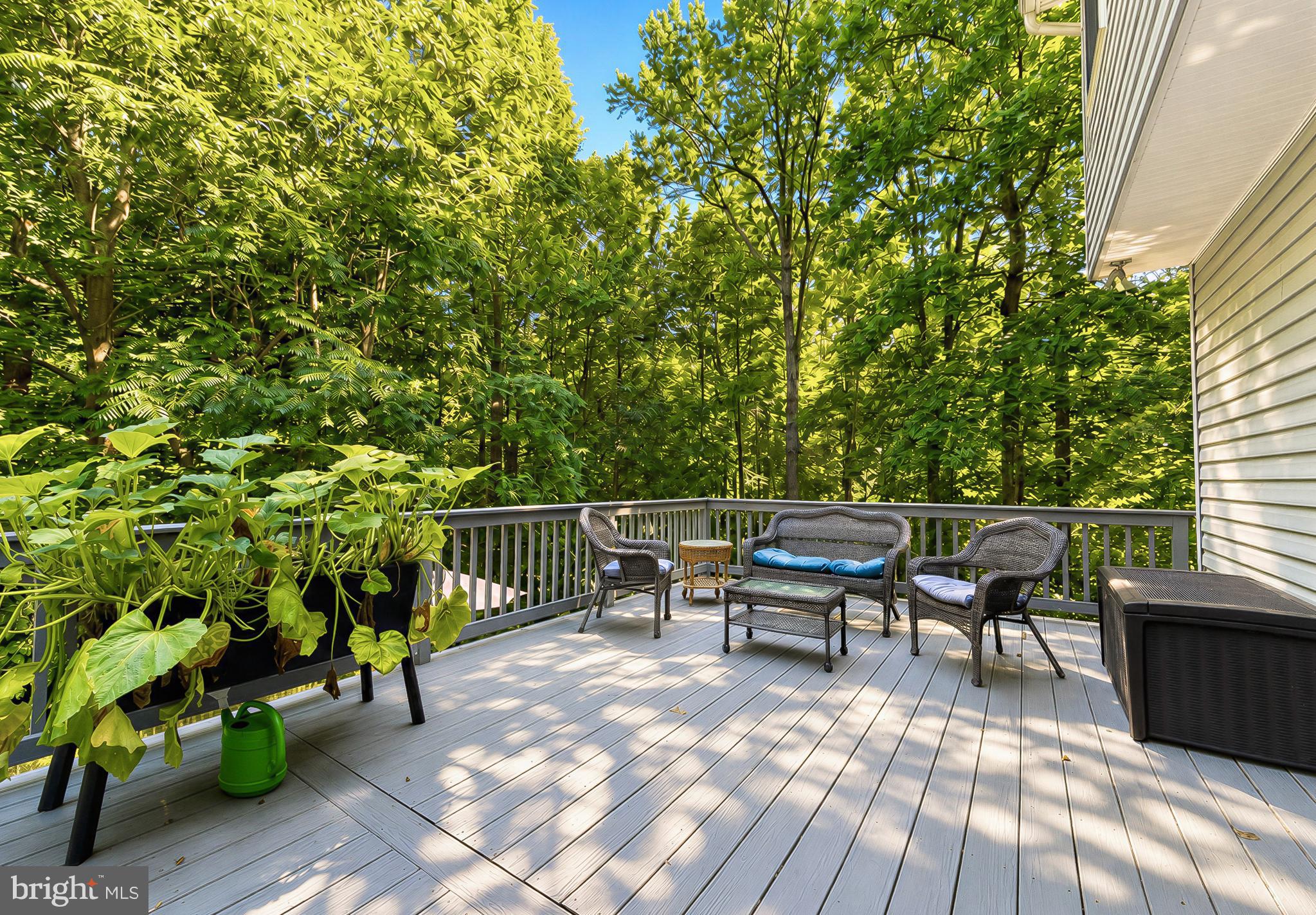 BREEZY POINT - Residential