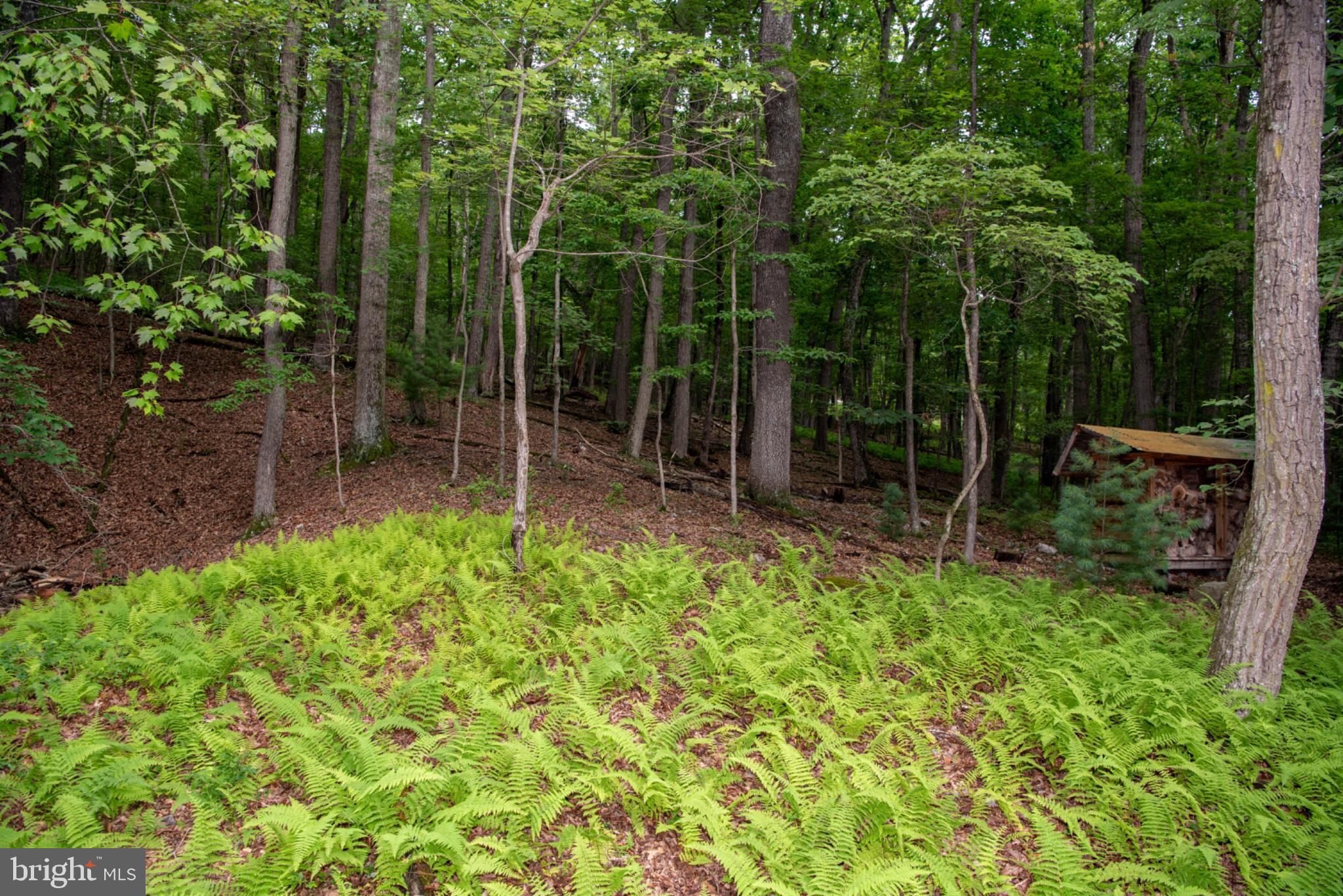 TROUT POND PROPERTY OWNERS ASSOCIATION - Residential