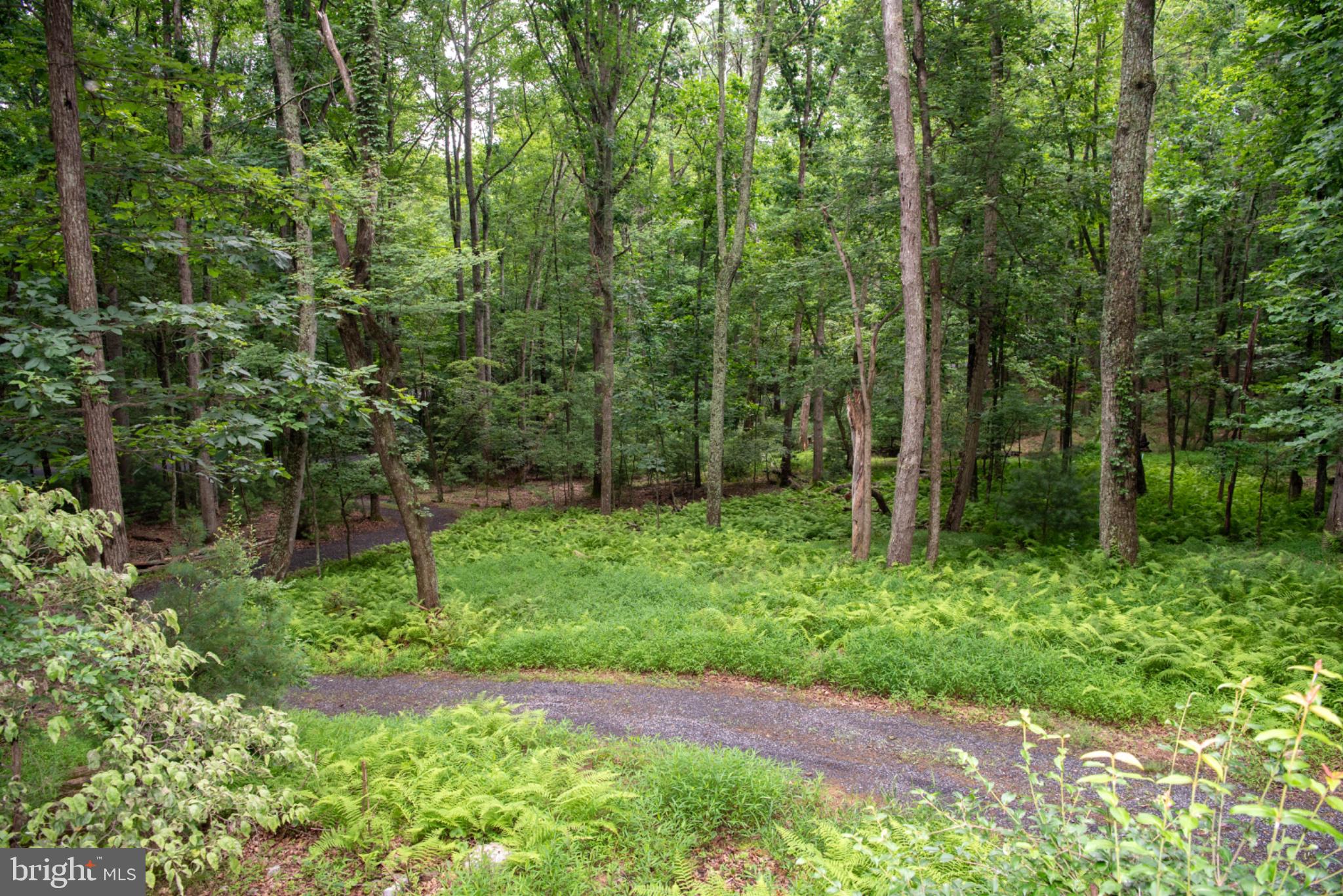 TROUT POND PROPERTY OWNERS ASSOCIATION - Residential