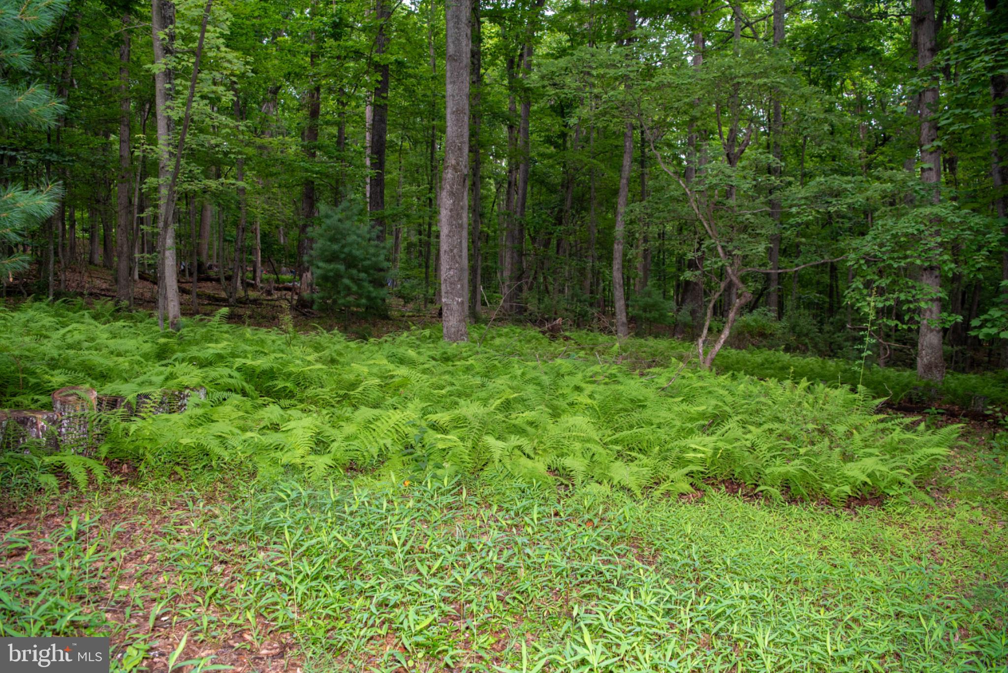 TROUT POND PROPERTY OWNERS ASSOCIATION - Residential