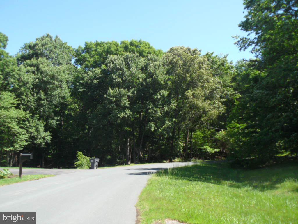 SPRING VALLEY SUB - Residential