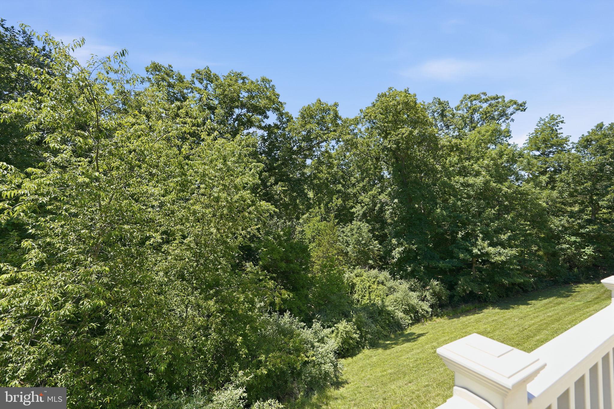 SHENANDOAH - Residential