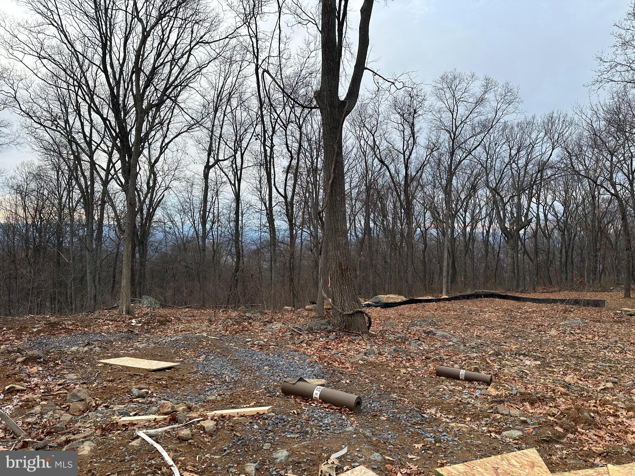 SHEN FARMS MT VIEW - Residential