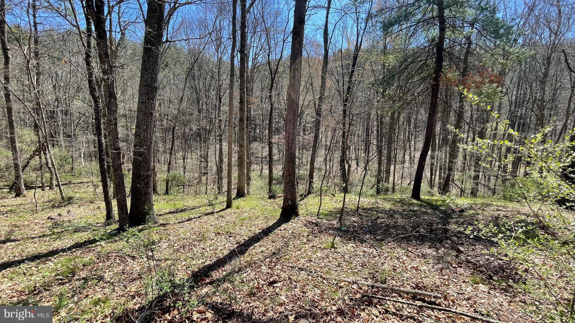 RARE OPPORTUNITY! 20 UNRESTRICTED acres for you to enjoy in the mountains of Hampshire County. It's hard to find that perfect piece of land, yet here it is! This property offers privacy, has a creek running through it, a pond, lots of animals roaming and is gently rolling and level throughout. There is also electricity available to the  property. This is a beautiful place to build that dream home or get-away, and it also offers many recreational opportunities that you can enjoy all in your very own backyard. Want to go for a hike? Just walk out your door. Feel like a fun ride on your four-wheeler, take off on your ATV and ride the existing trails. No matter how you choose to enjoy the fresh outdoor air, you will never get tired of the endless beautiful scenery of mature trees and outlying rocks. Love a good photo op? Grab your camera and just walk outside for amazing photos! Need a moment to undwind or meditate? Sit alongside the Tearcoat Creek and let the sounds of the water rolling through destress you. Love watching animals scurry about and play? Take a seat and just watch them roam. Love to stargaze? On any clear night, just look up! Hunters will enjoy the abundant wildlife and there are even ducks that visit the pond on the property! Augusta, WV is about 45 minutes from Winchester, VA / I-81 and about an hour from Cumberland, MD / I-68.