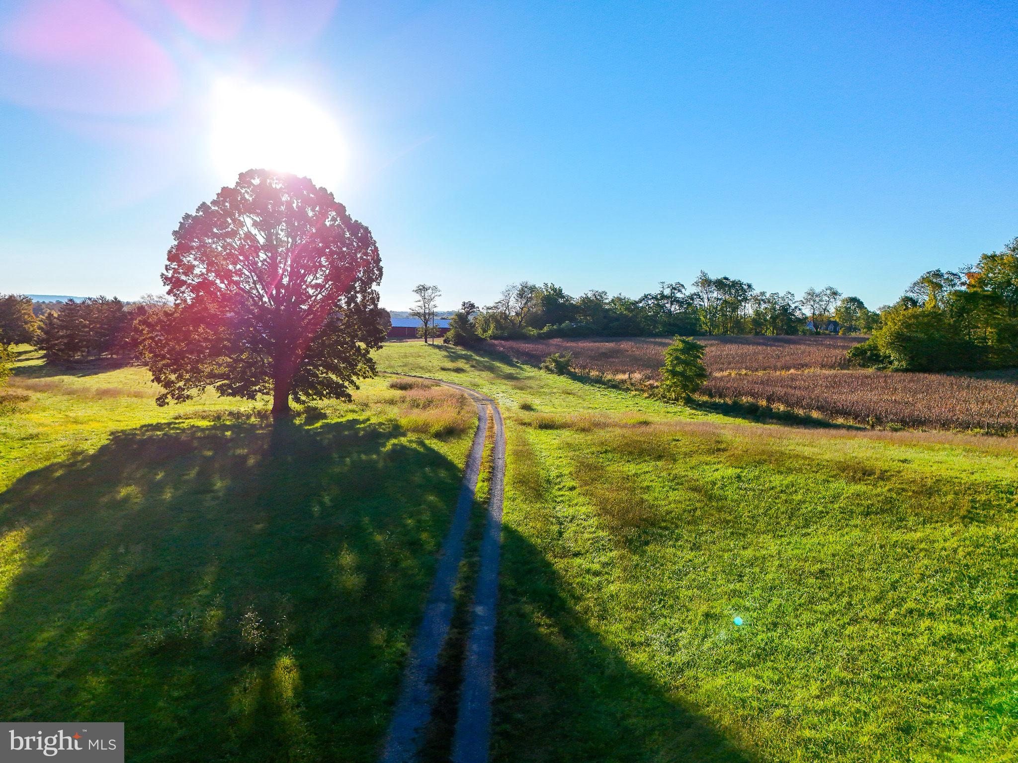SHORT HILL - Land