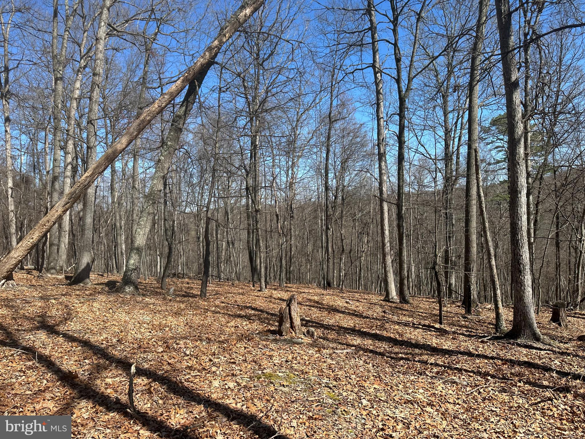 PATTERSON ESTATES - Land