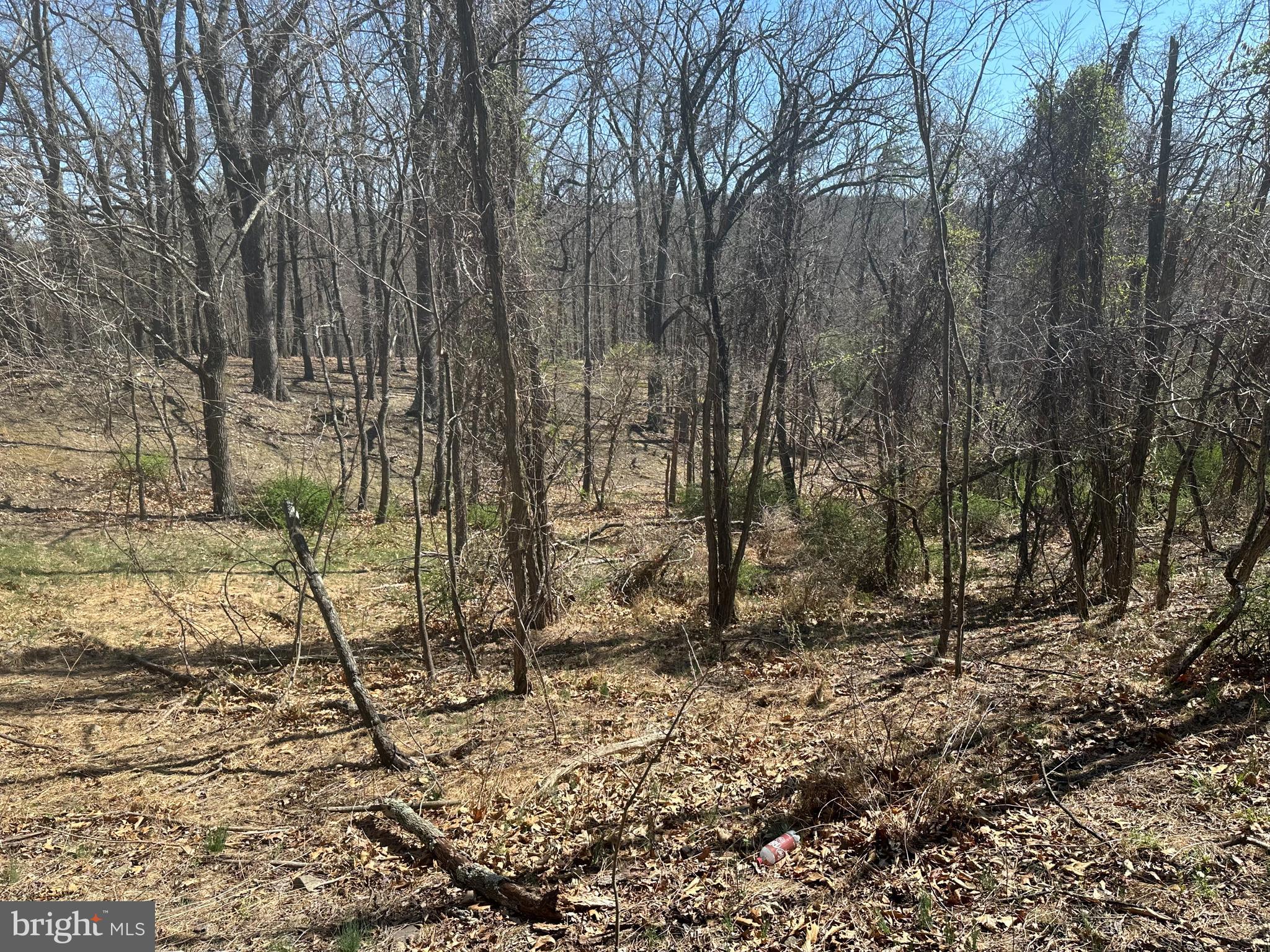PATTERSON ESTATES - Land