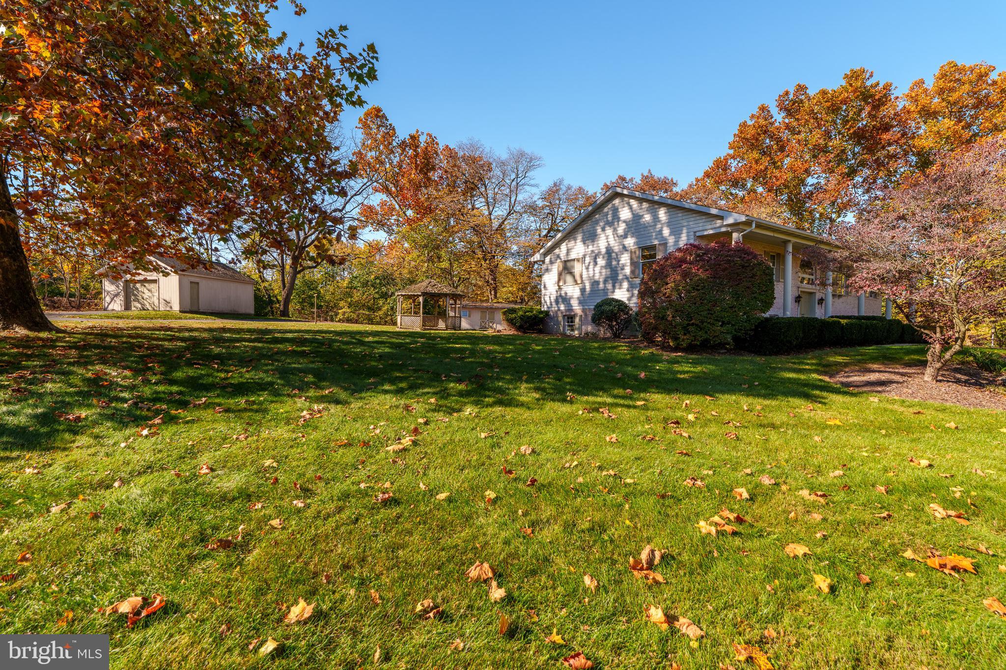 MOUNT JOY - Residential