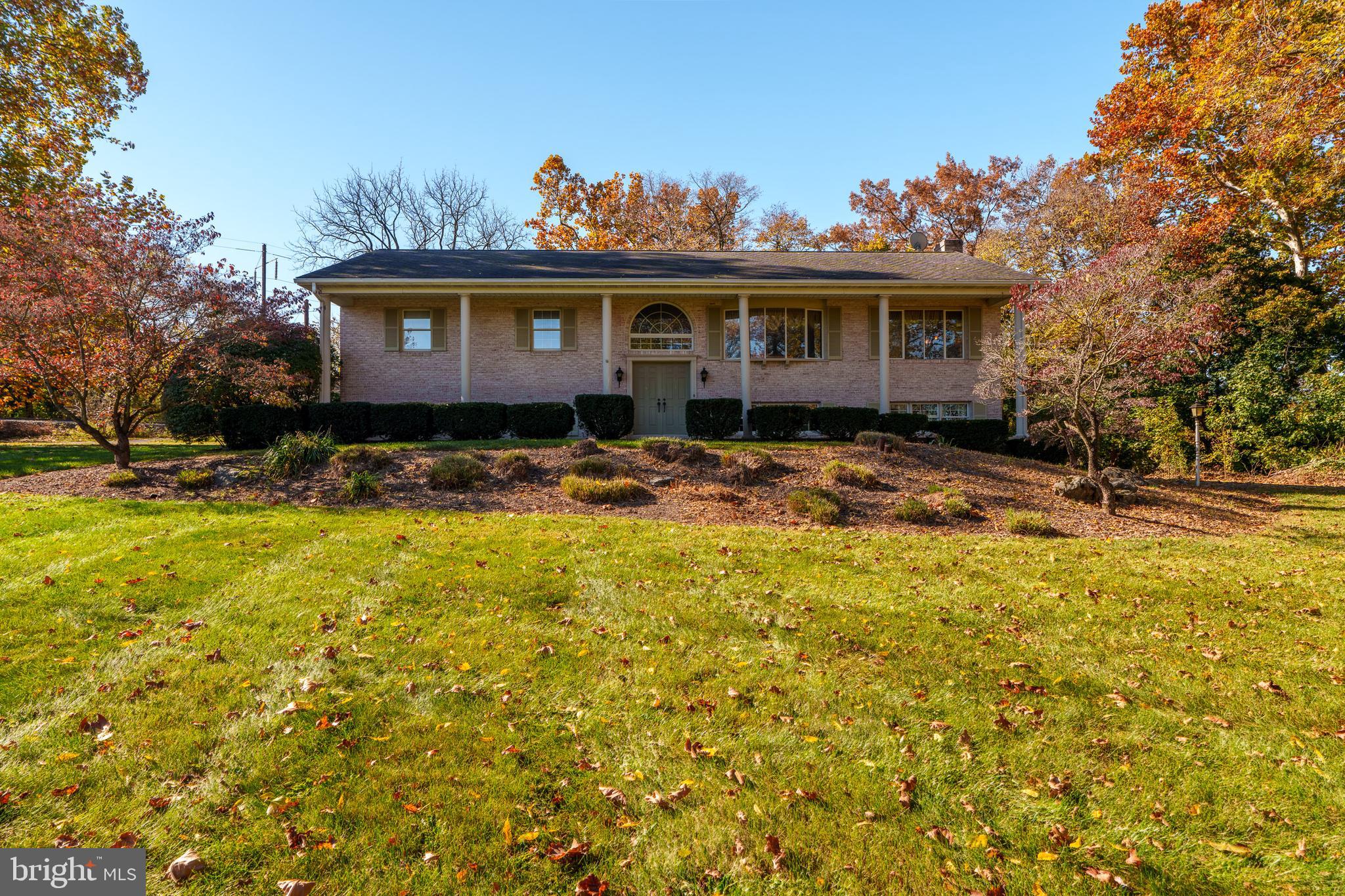 MOUNT JOY - Residential