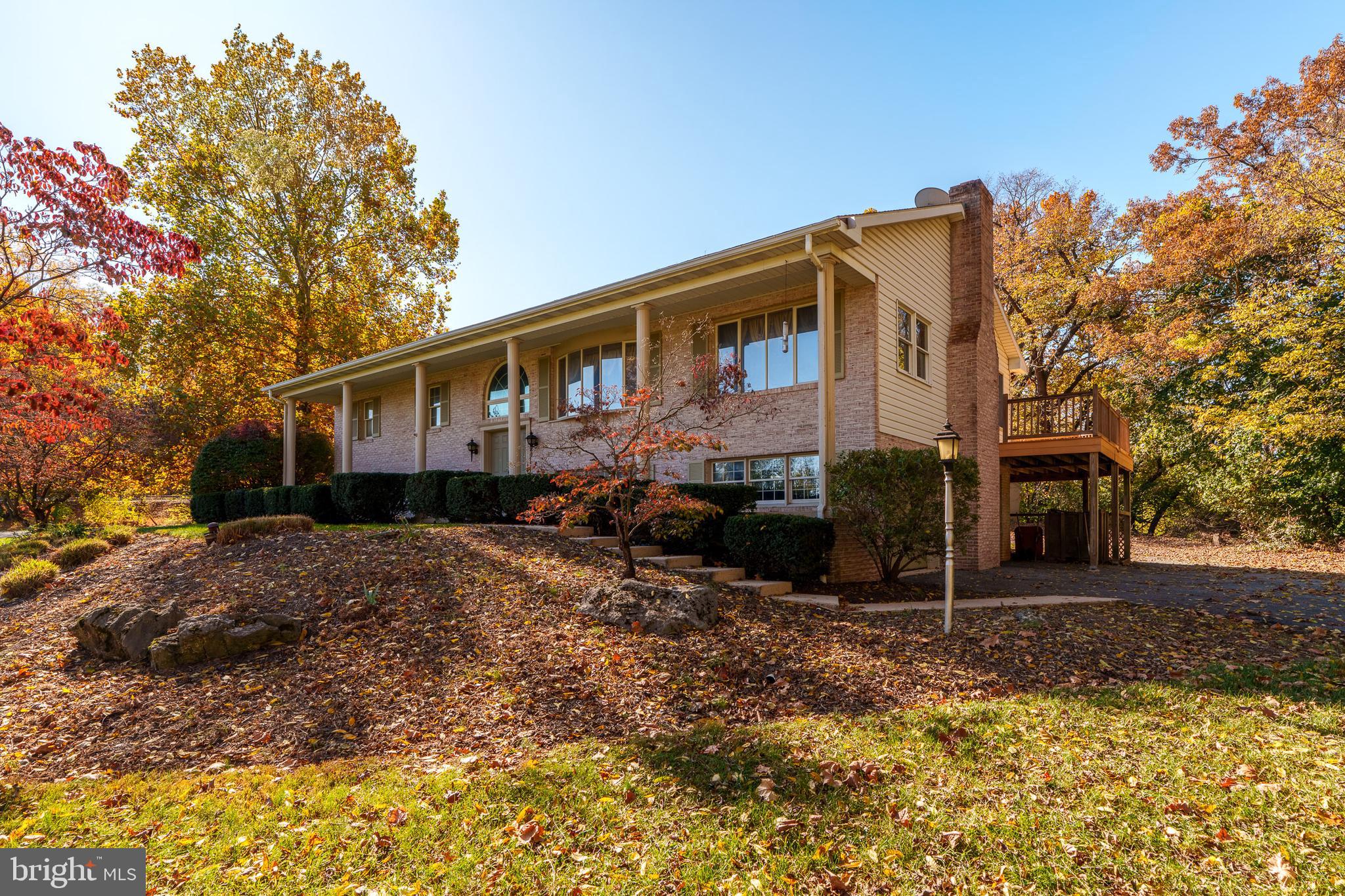 MOUNT JOY - Residential