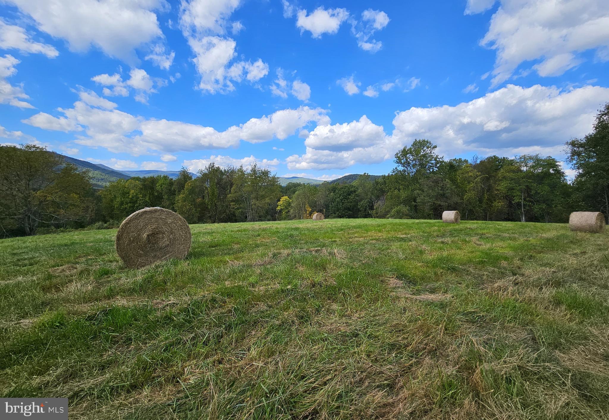NONE AVAILABLE - Farm