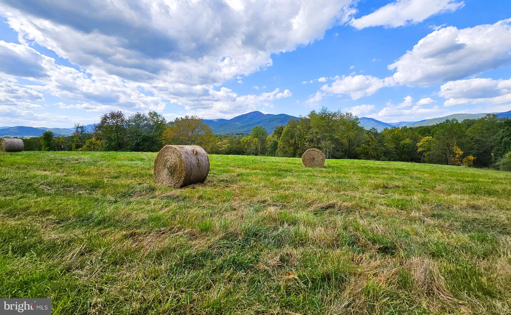 NONE AVAILABLE - Farm