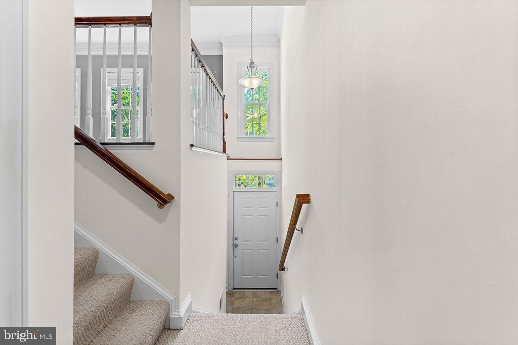 MONTGOMERY WHITE OAK - Residential